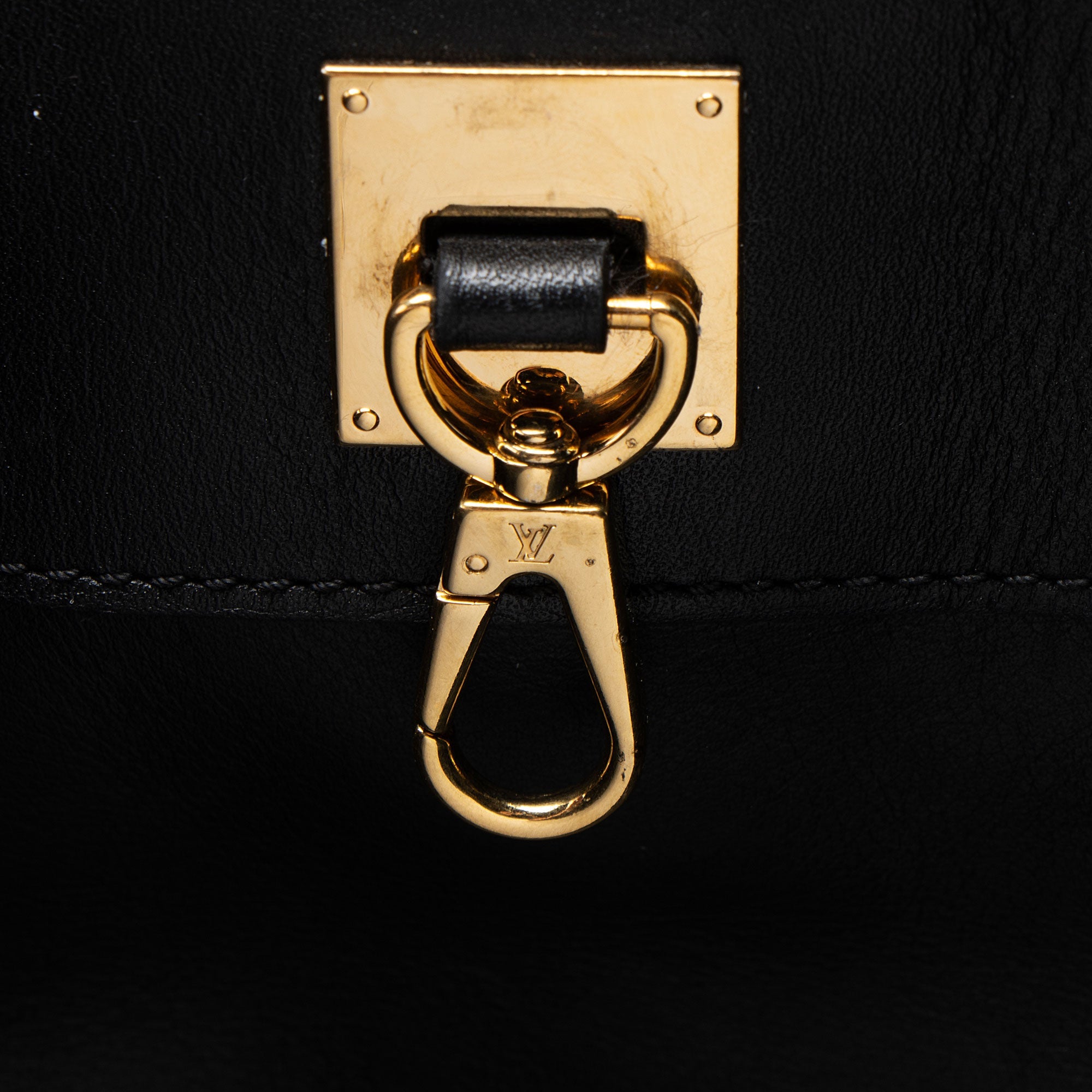 Louis Vuitton Calfskin City Steamer MM Tote
