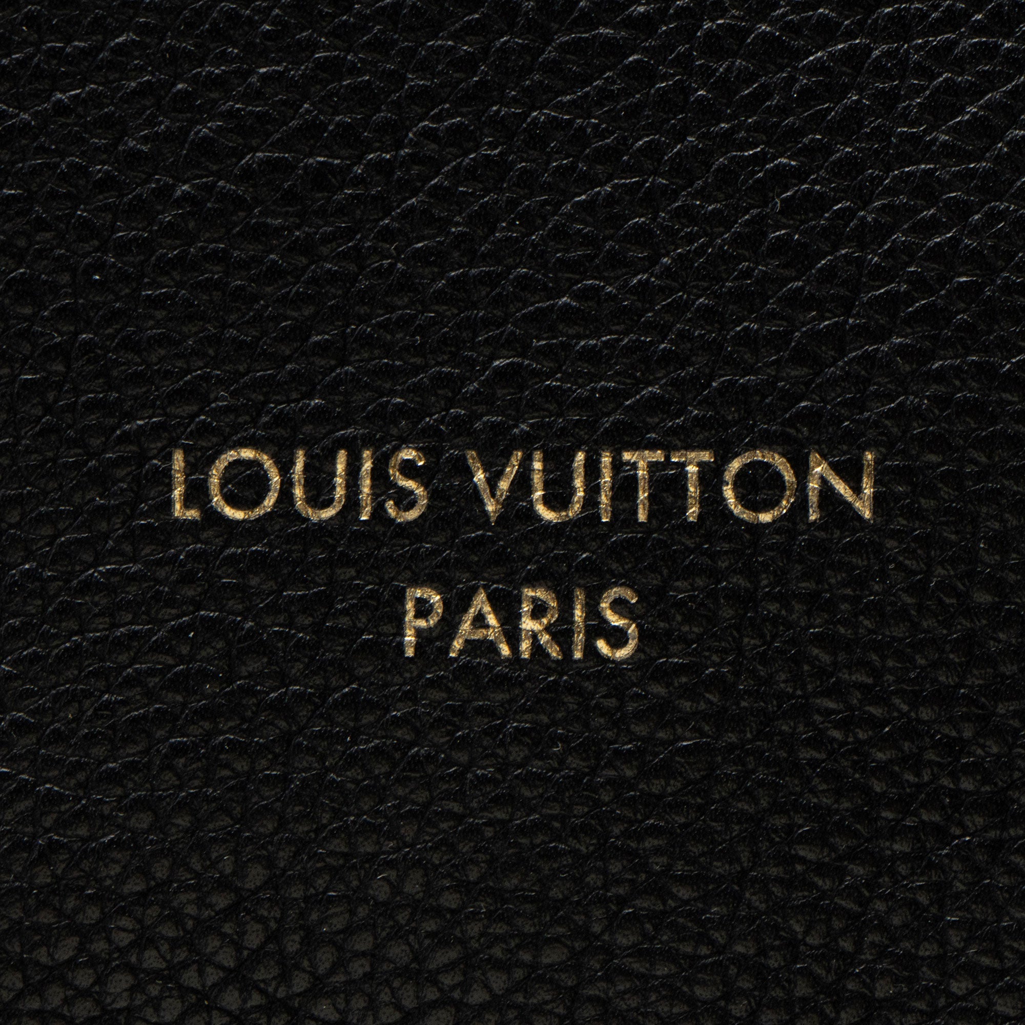 Louis Vuitton Calfskin Low Key MM Hobo