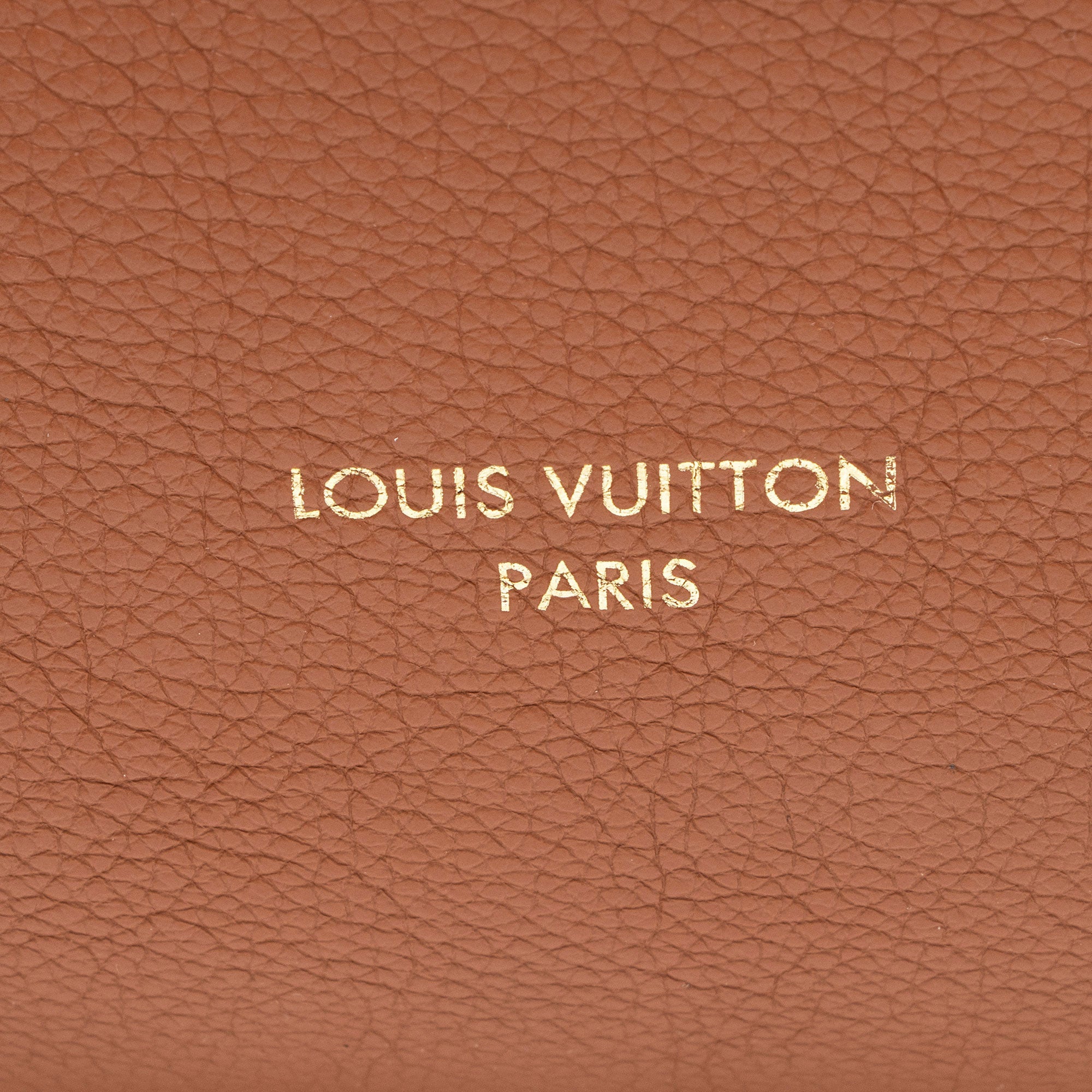 Louis Vuitton Calfskin Low Key MM Hobo