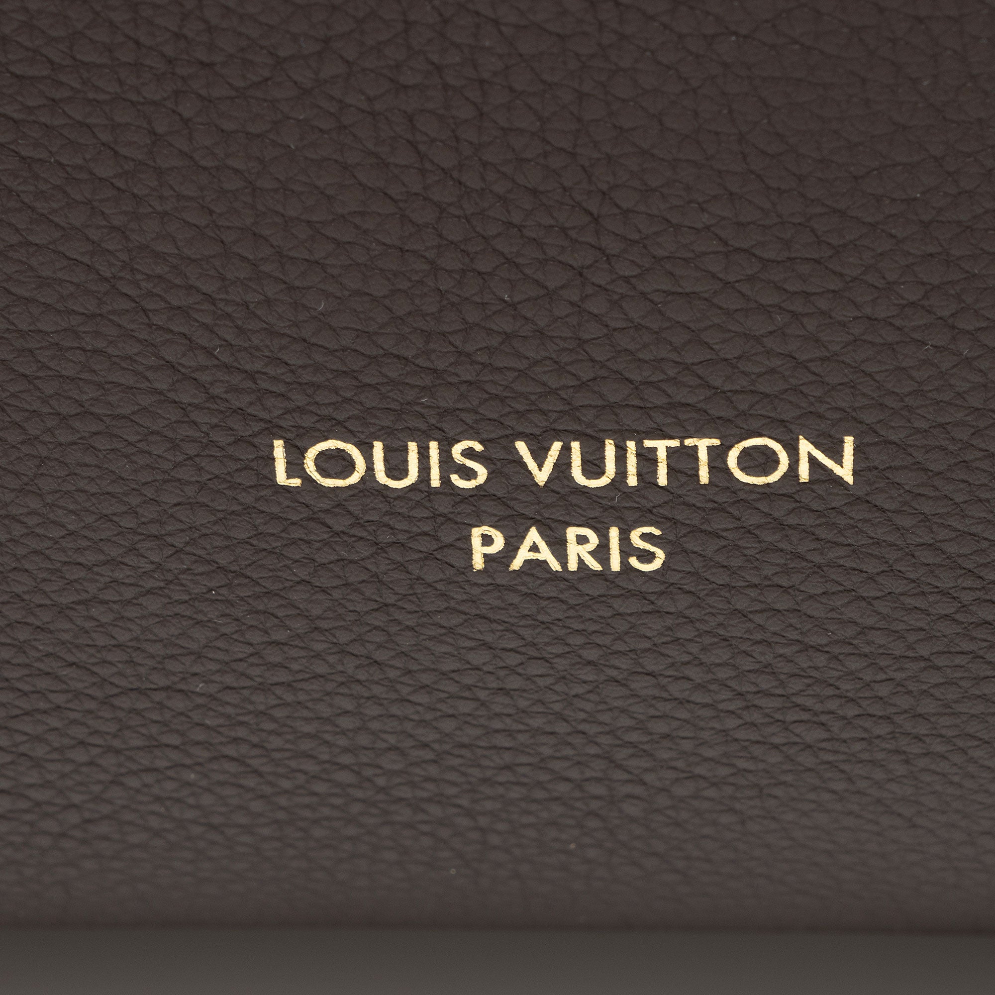 Louis Vuitton Calfskin Low Key MM Hobo