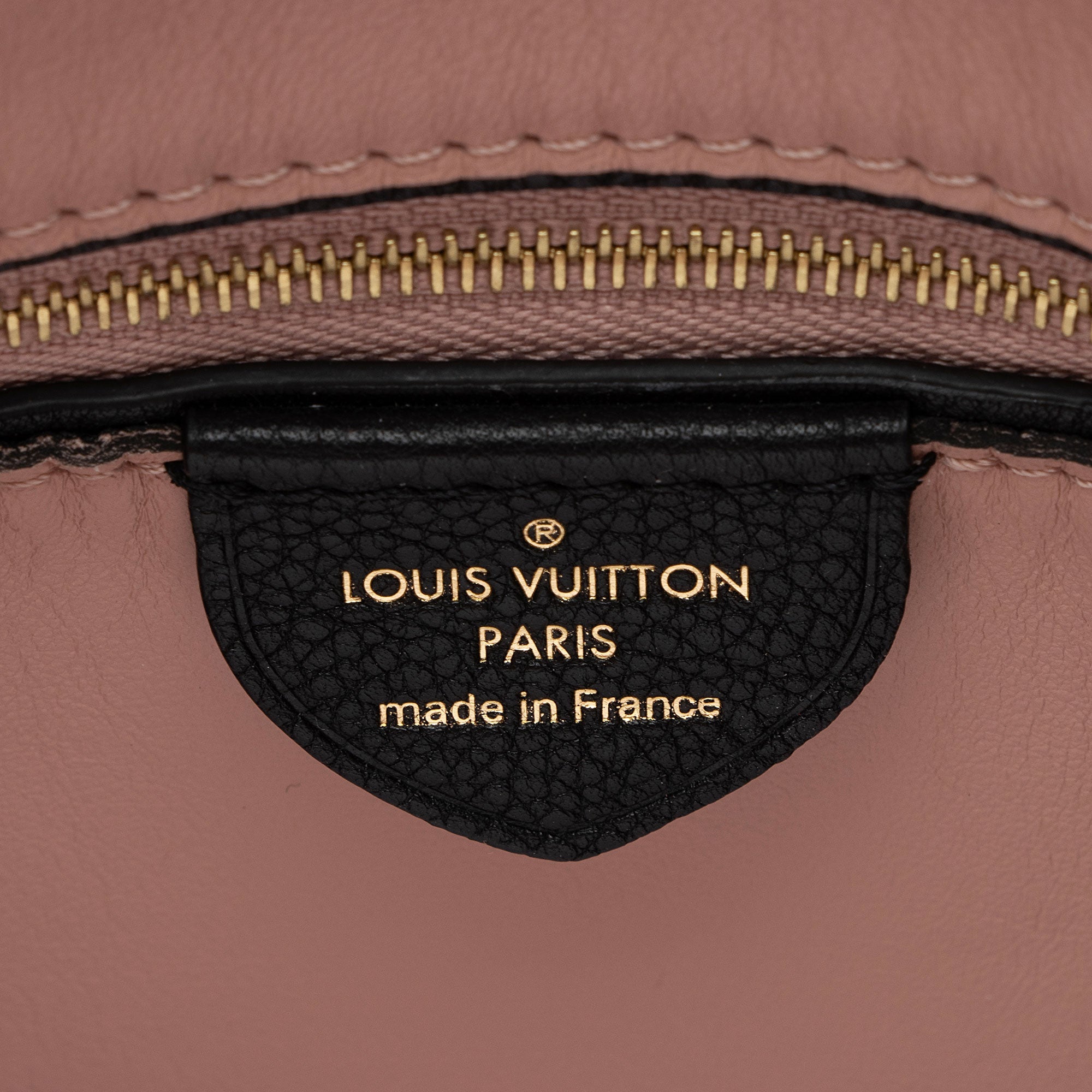 Louis Vuitton Calfskin Tournon Hobo