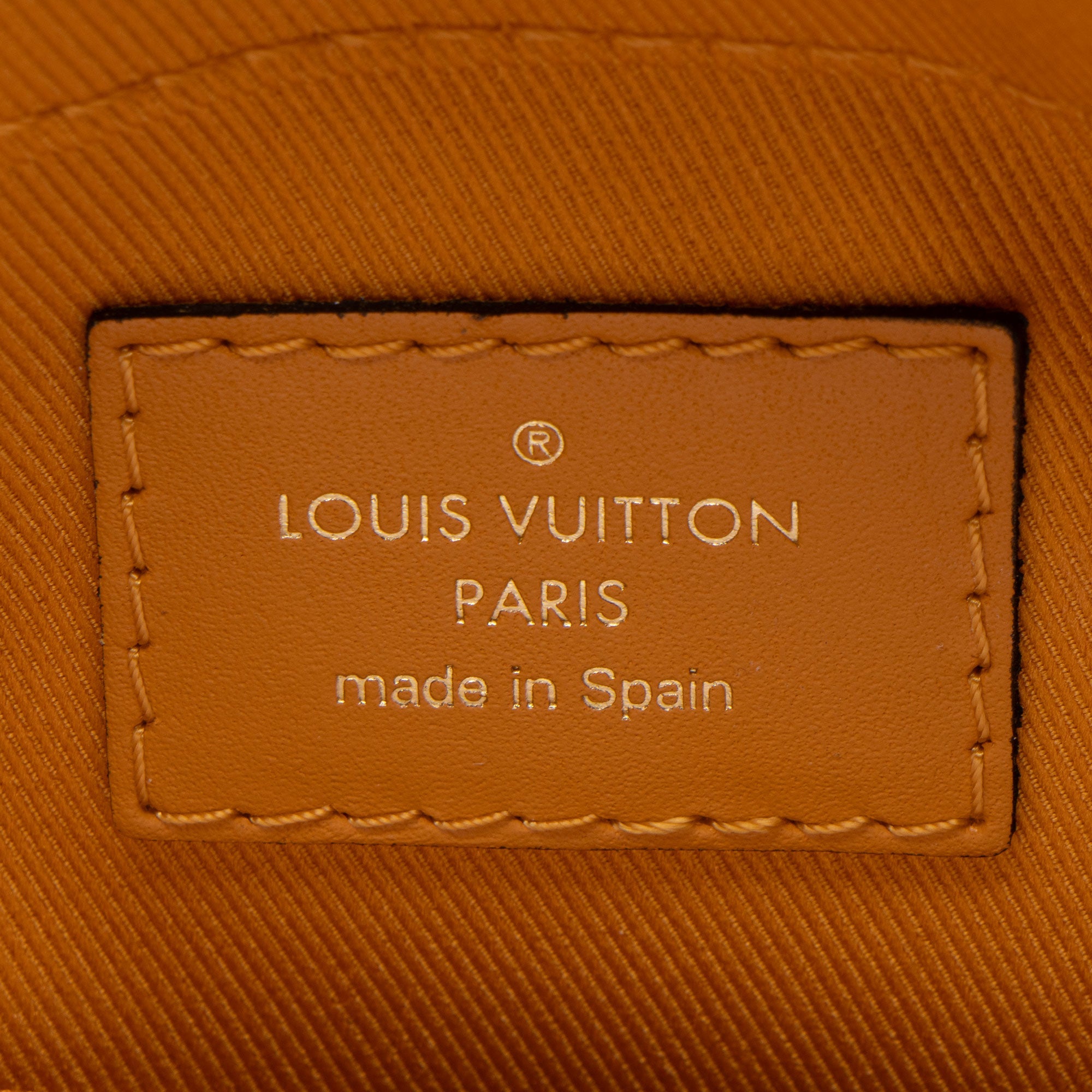 Louis Vuitton Damier Ebene Santa Monica Shoulder Bag