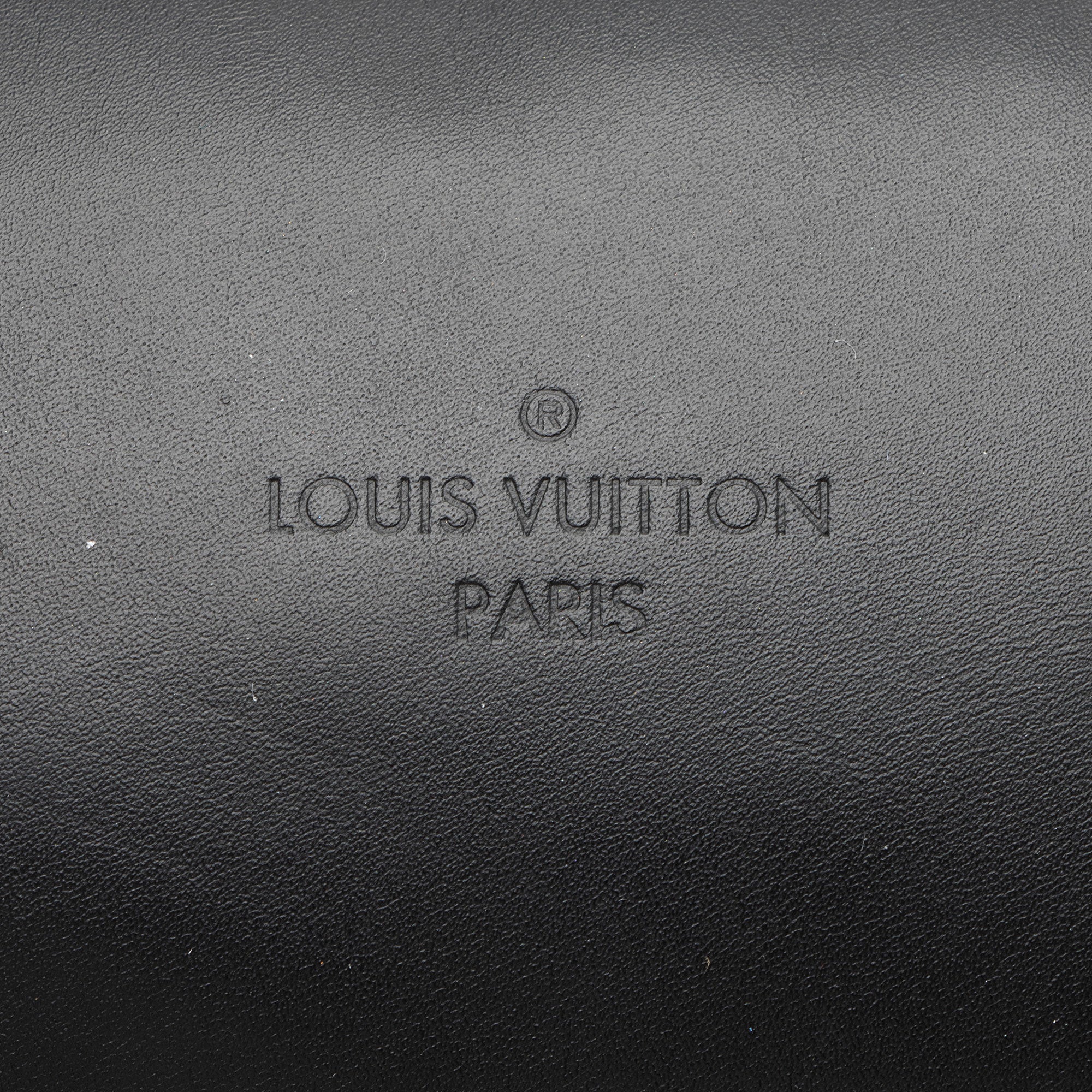 Louis Vuitton Damier Ebene Santa Monica Shoulder Bag