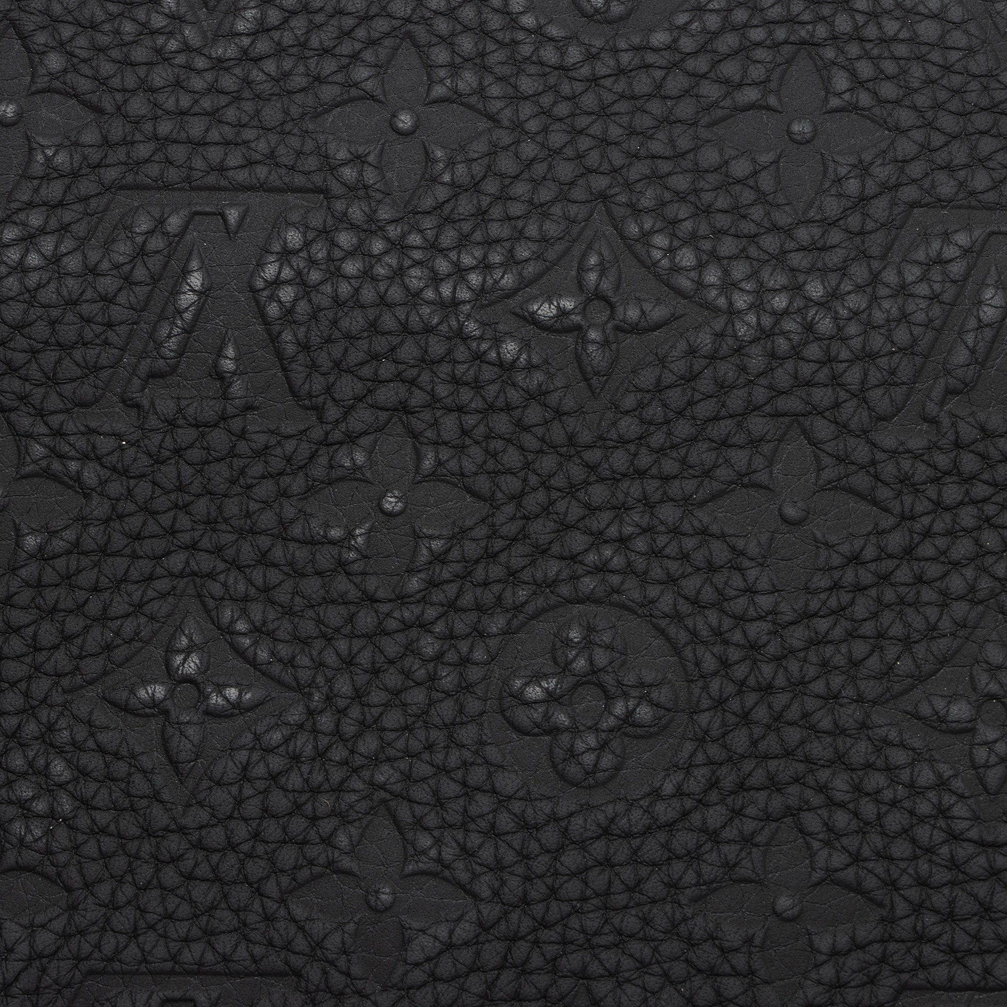 Louis Vuitton Damier Glitter Taurillon In The Loop Trio Pouch