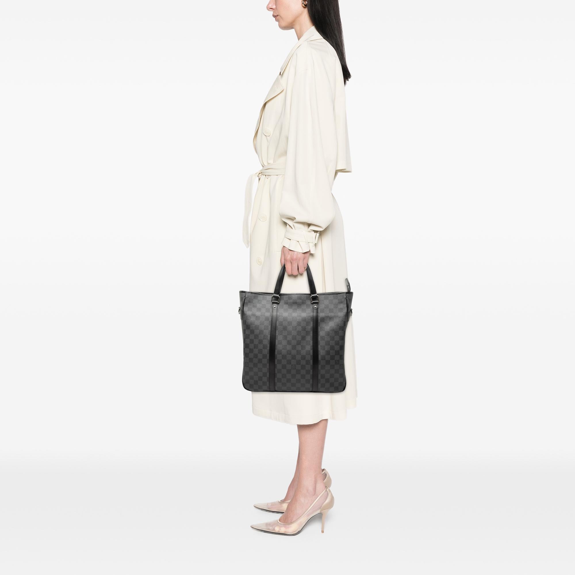 Louis Vuitton Damier Graphite Tadao