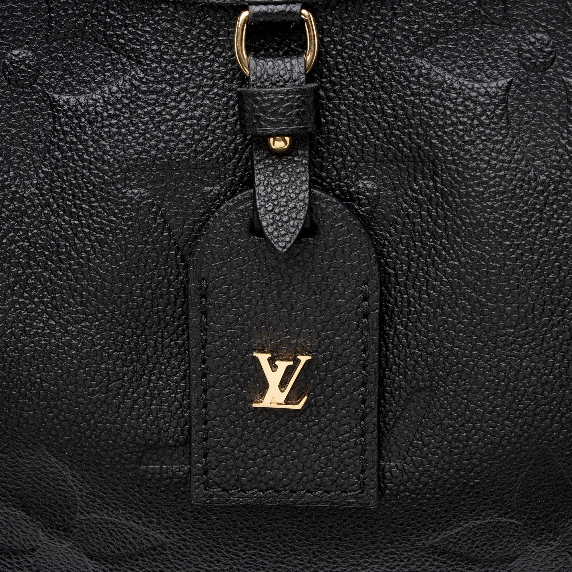 Louis Vuitton Giant Monogram Empreinte CarryAll MM Shoulder Bag