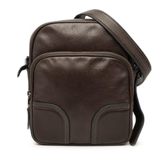 Louis Vuitton Leather Bequia Trotter MM