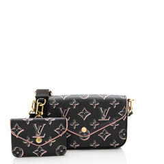 Louis Vuitton Limited Edition Monogram Canvas Fall For You Felicie Strap & Go