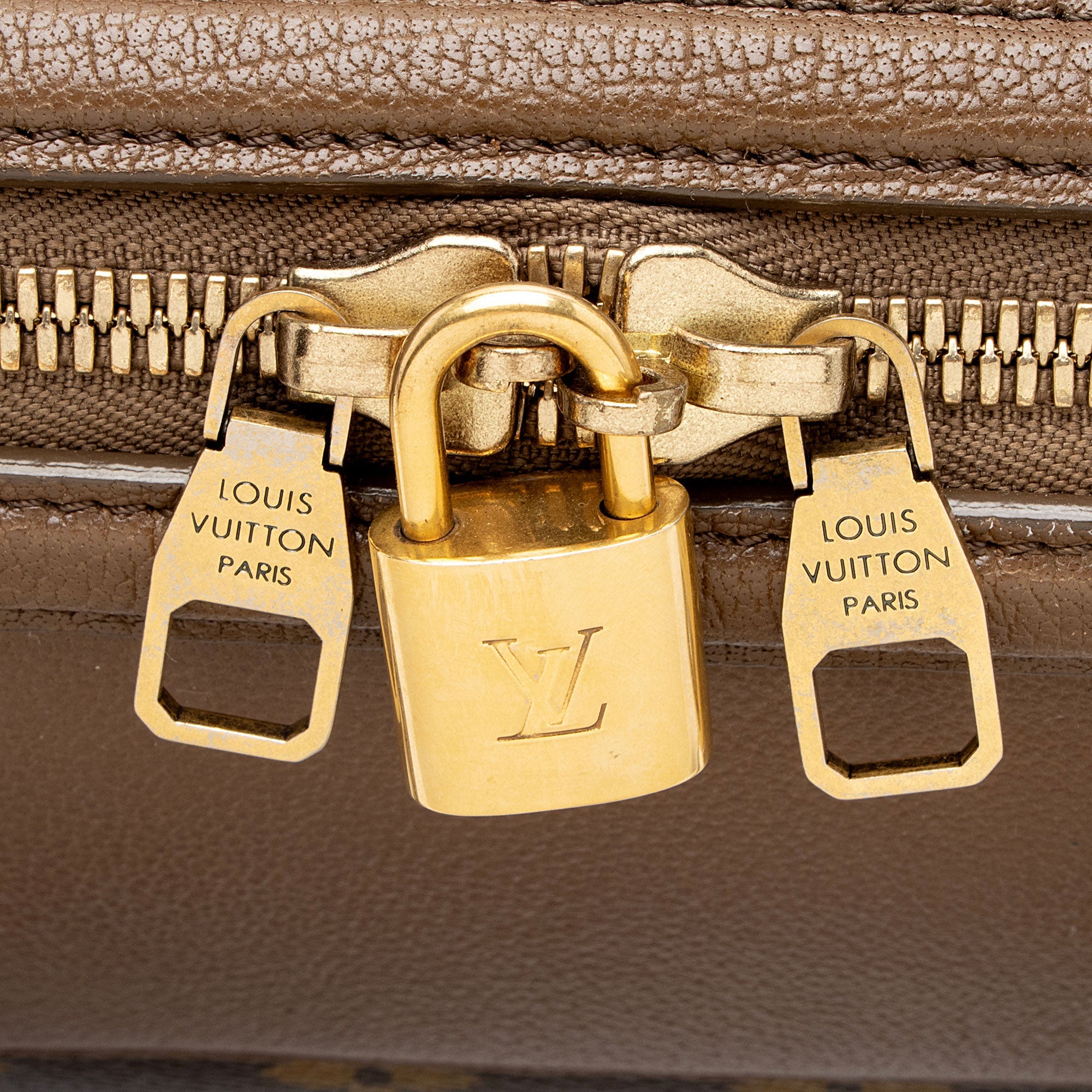 Louis Vuitton Limited Edition Monogram Canvas Golden Arrow Speedy Satchel
