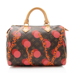 Louis Vuitton Limited Edition Monogram Canvas Ramages Speedy 30 Satchel