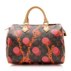 Louis Vuitton Limited Edition Monogram Canvas Ramages Speedy 30 Satchel
