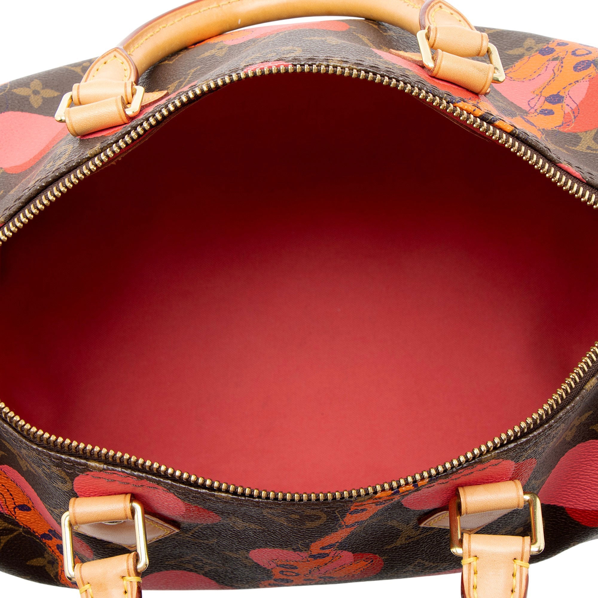 Louis Vuitton Limited Edition Monogram Canvas Ramages Speedy 30 Satchel