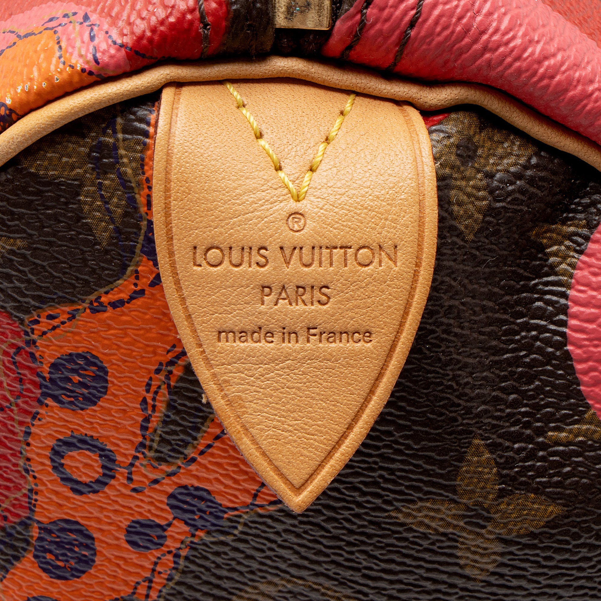Louis Vuitton Limited Edition Monogram Canvas Ramages Speedy 30 Satchel