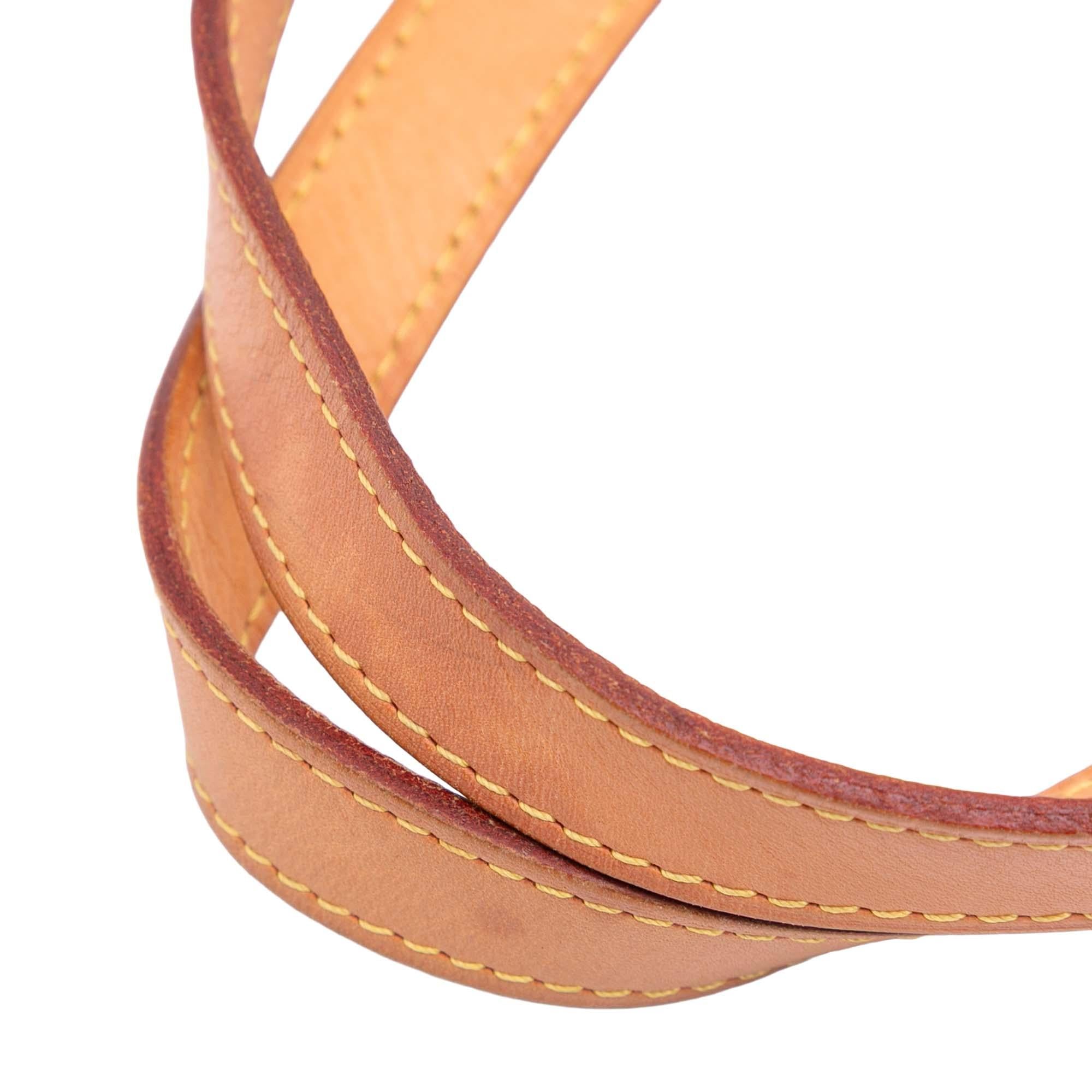 Louis Vuitton Monogram All In PM