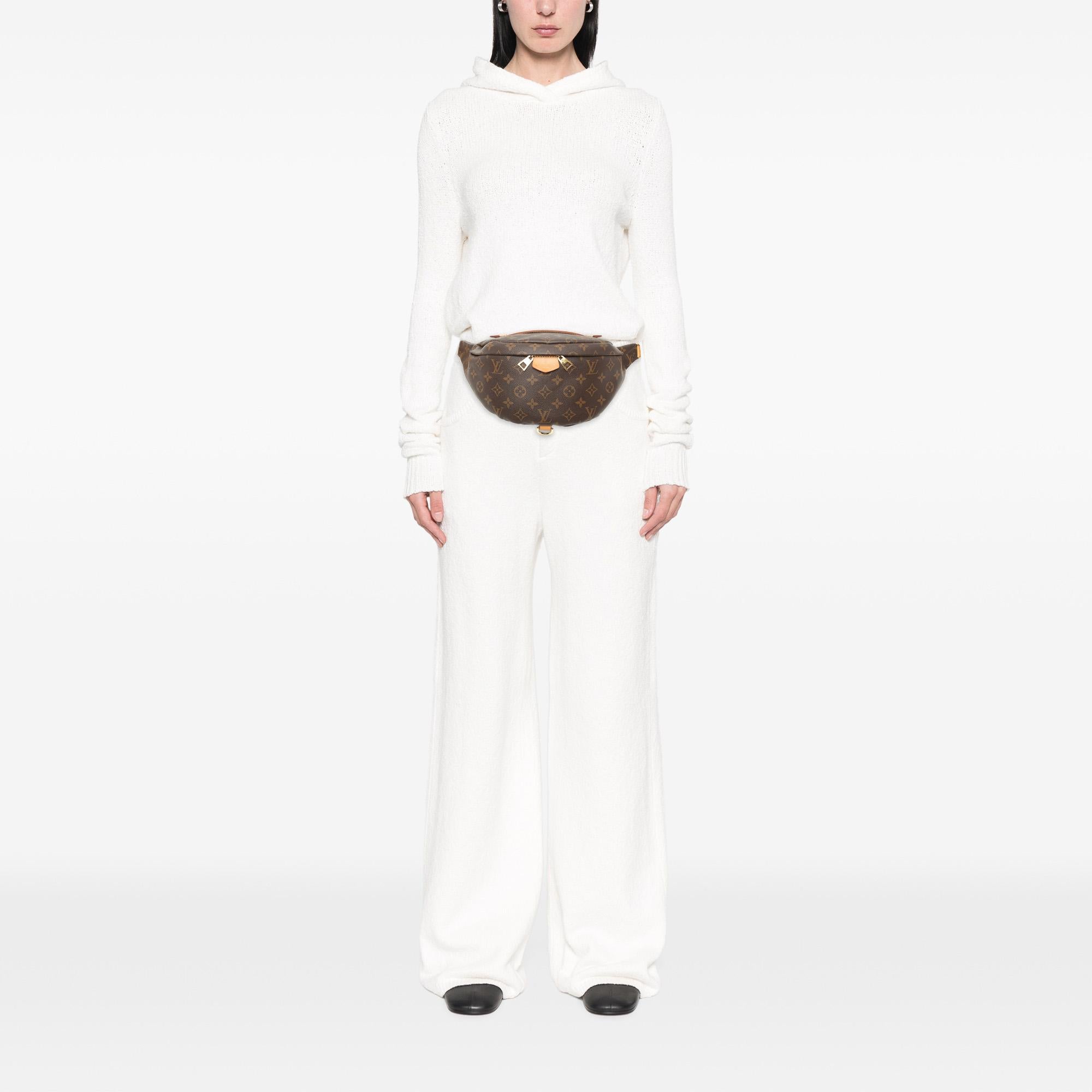 Louis Vuitton Monogram Bumbag