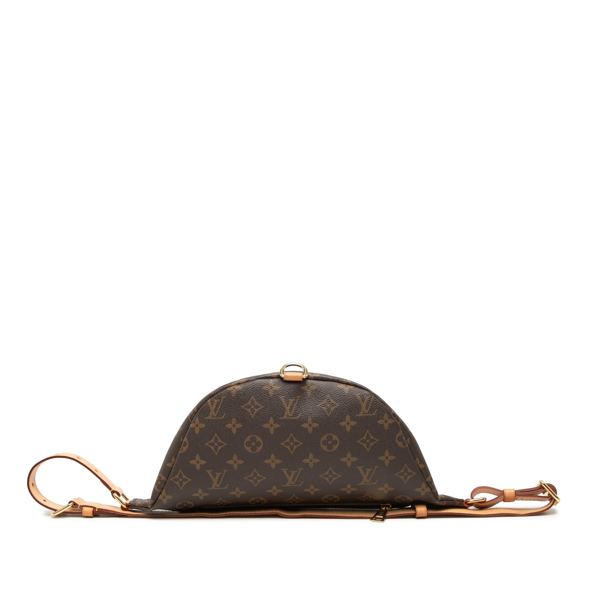 Louis Vuitton Monogram Bumbag