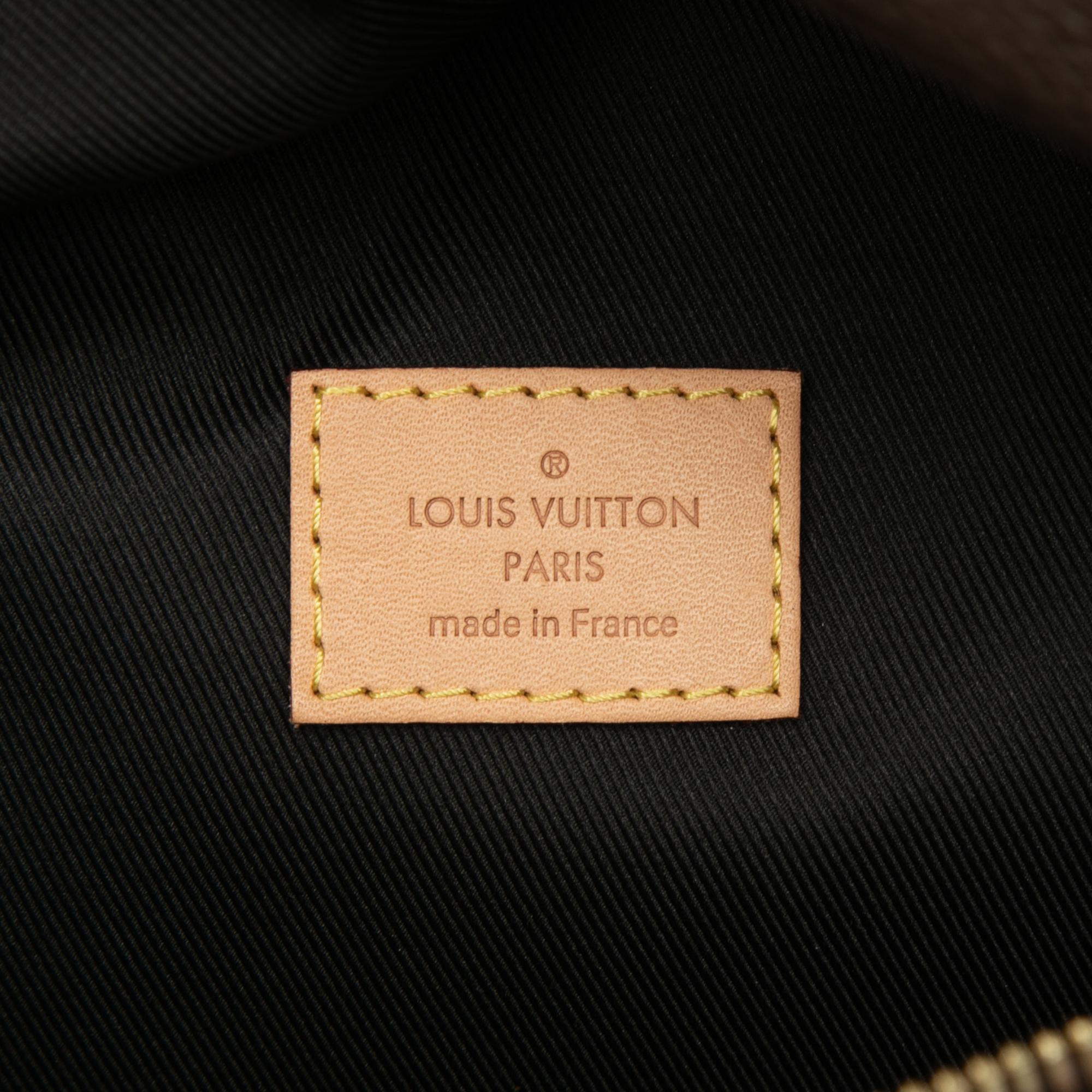 Louis Vuitton Monogram Bumbag