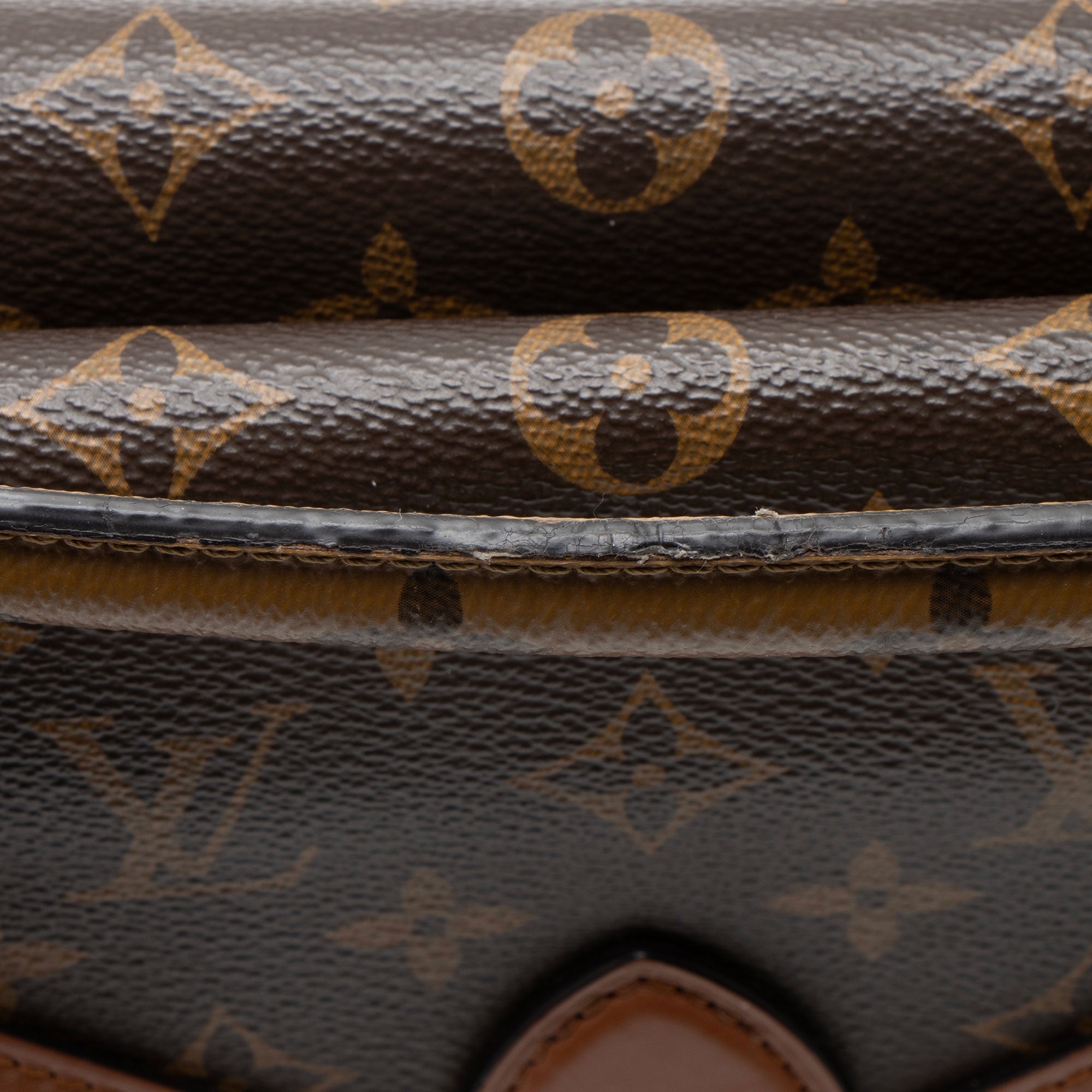 Louis Vuitton Monogram Canvas Calfskin Biface Shoulder Bag