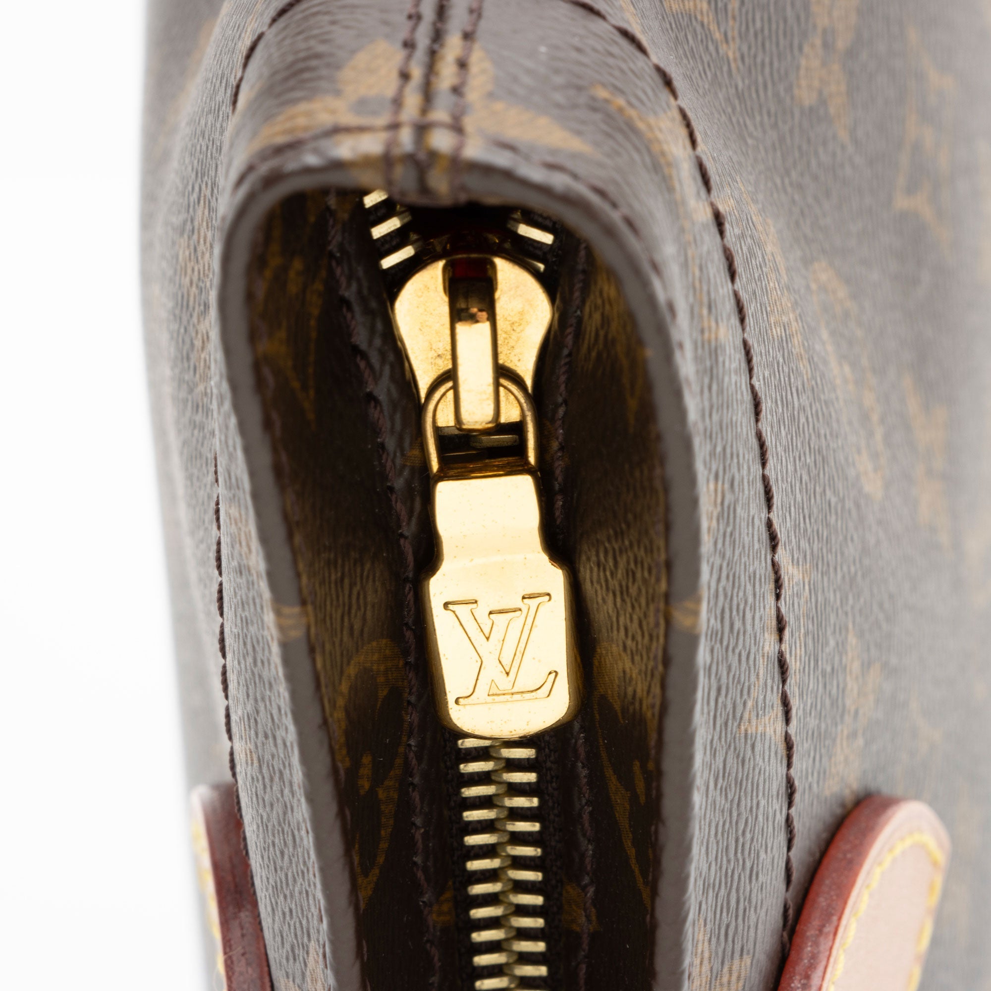 Louis Vuitton Monogram Canvas Carry It Tote