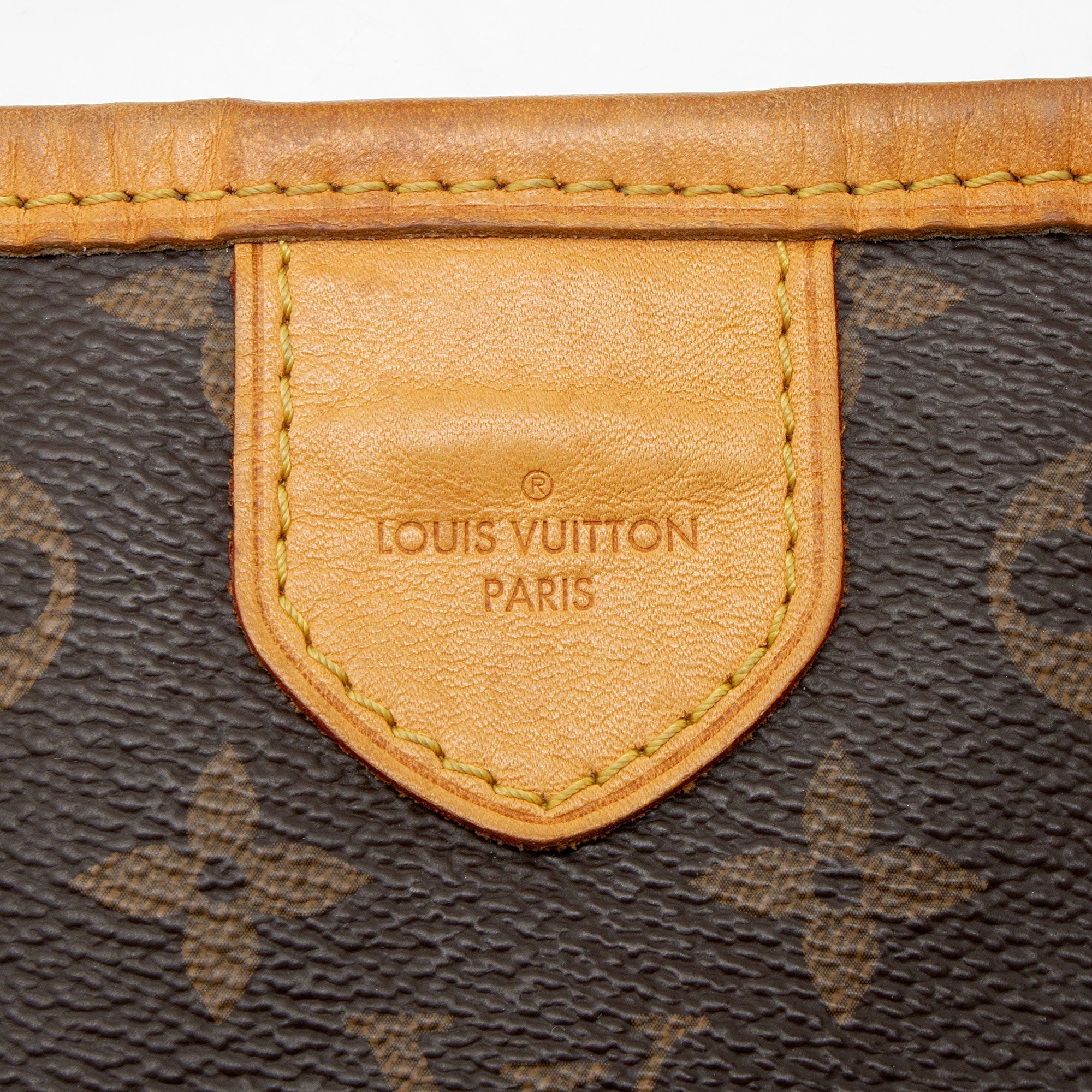 Louis Vuitton Monogram Canvas Delightful MM Shoulder Bag