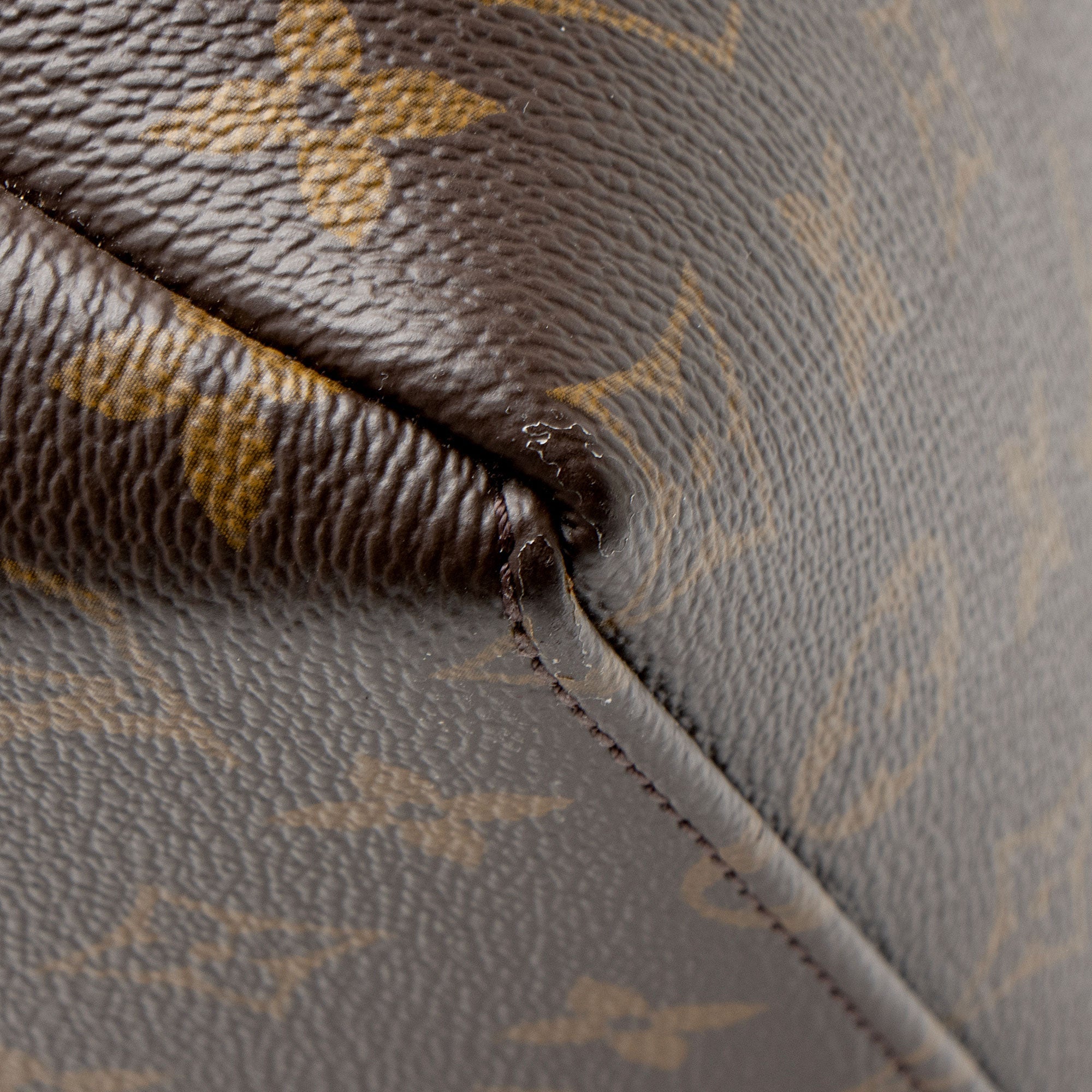 Louis Vuitton Monogram Canvas Grand Palais Tote