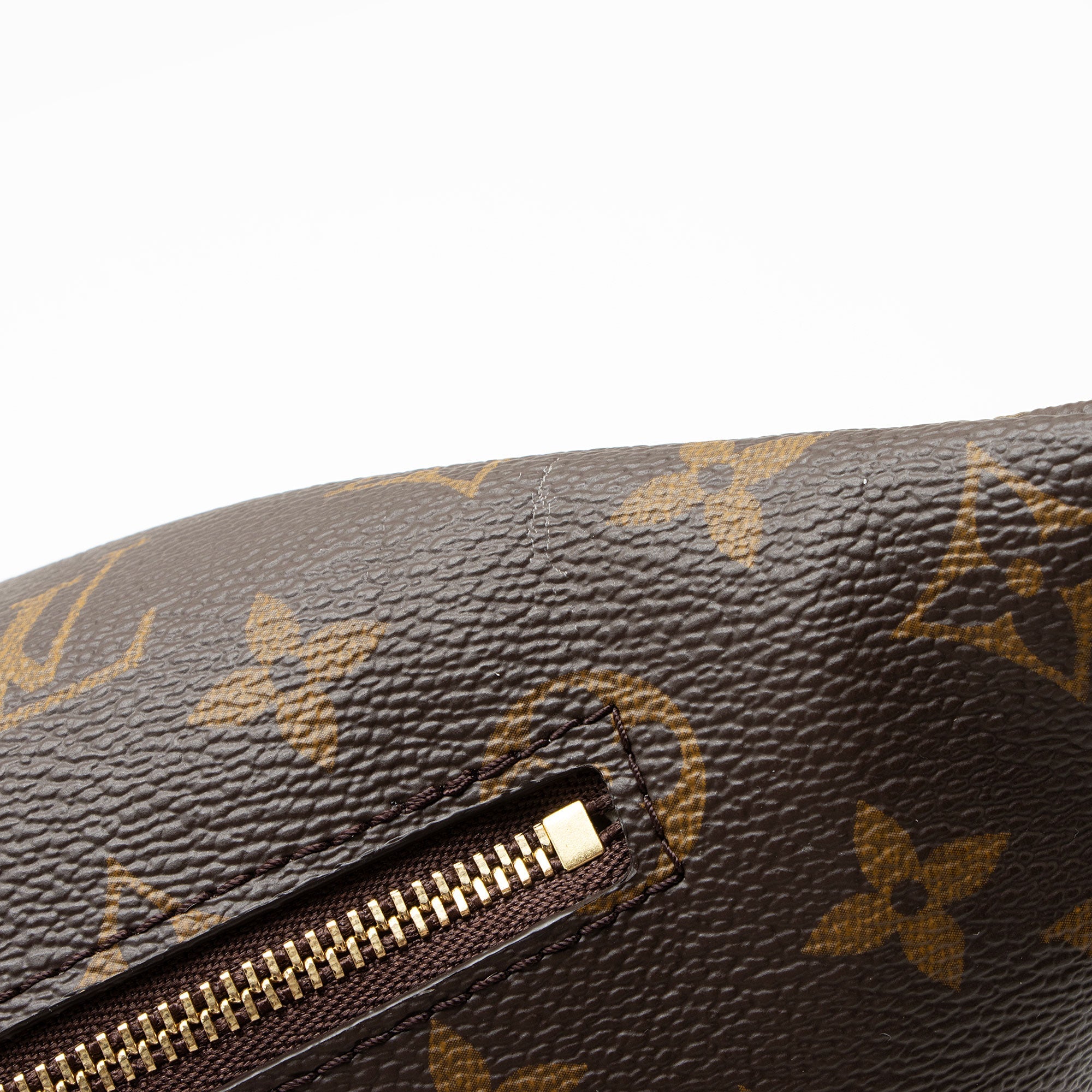 Louis Vuitton Monogram Canvas High Rise Bumbag