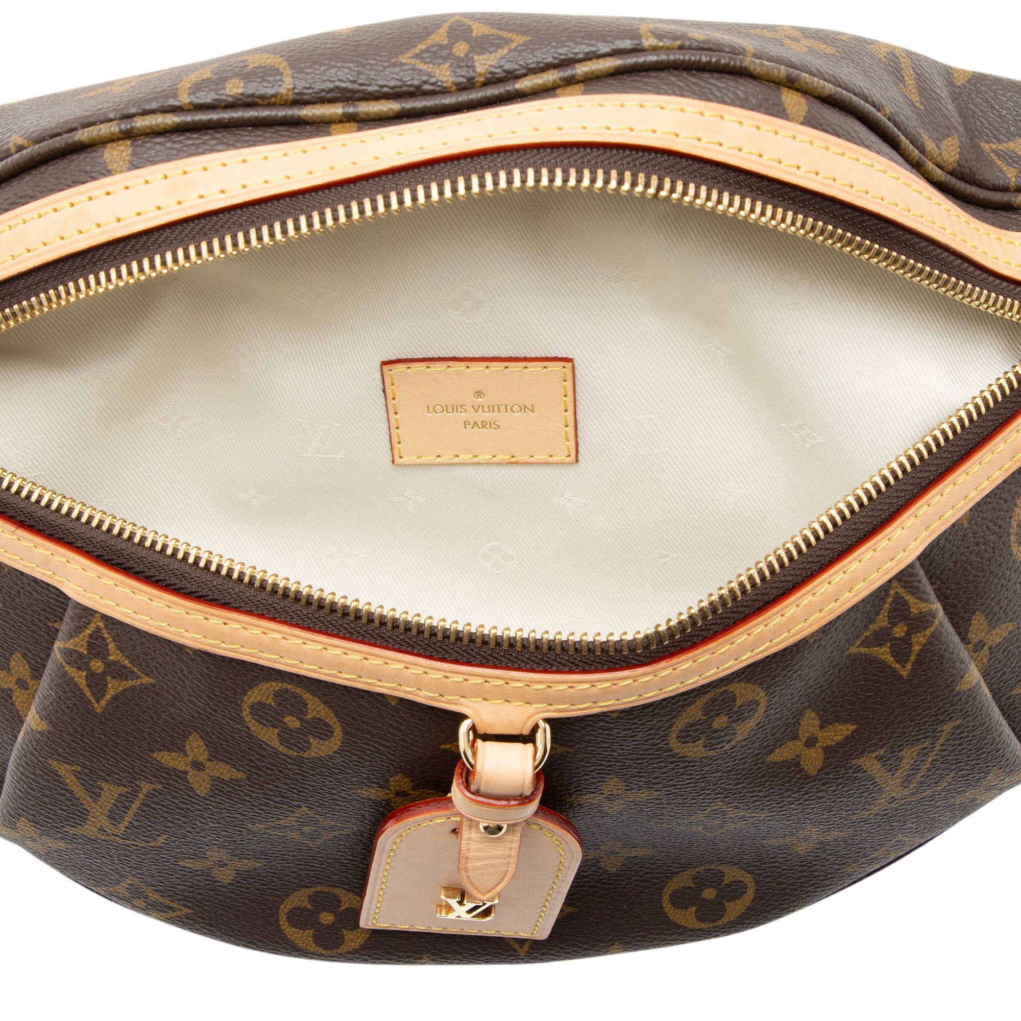 Louis Vuitton Monogram Canvas High Rise Bumbag