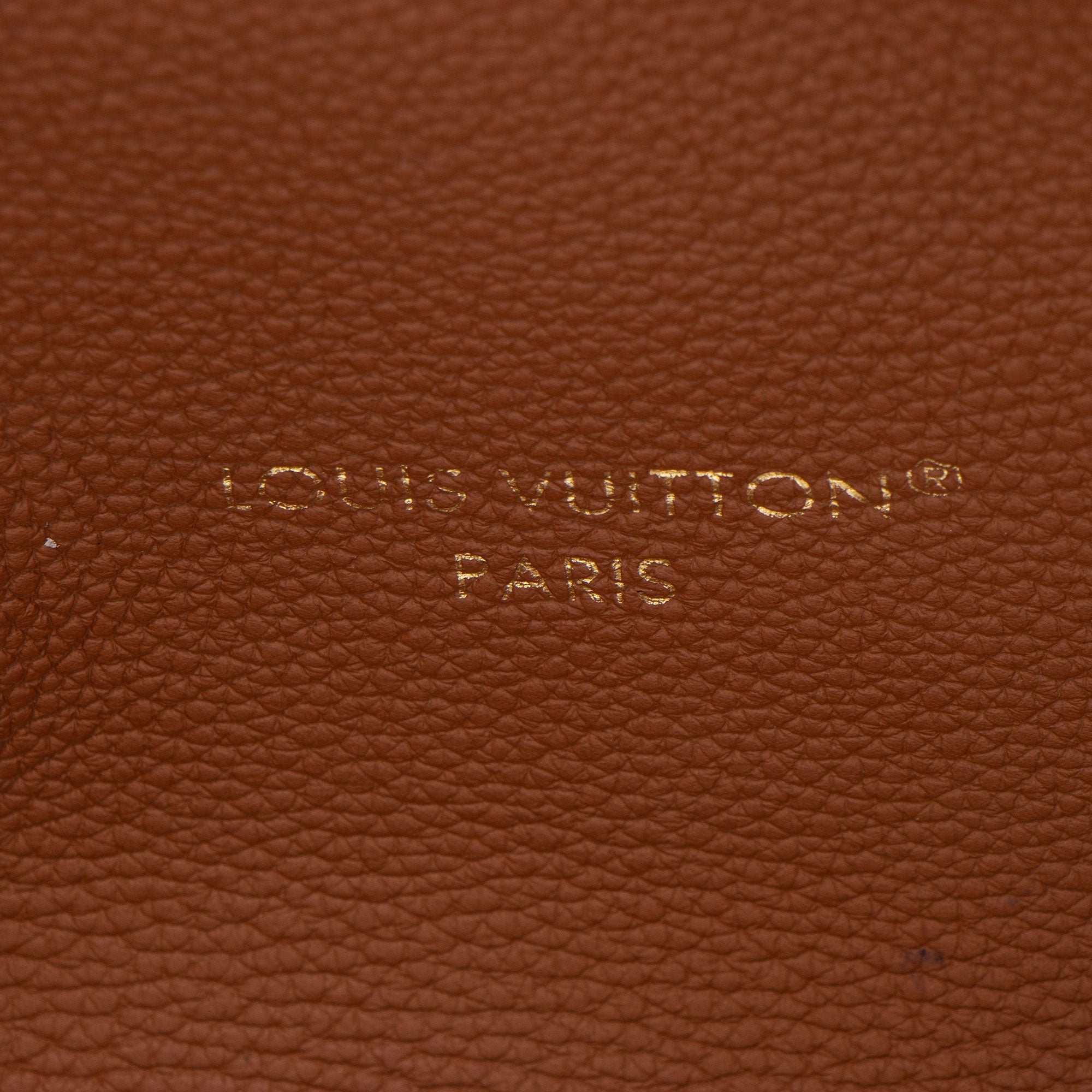 Louis Vuitton Monogram Canvas Leather Inside Out Neverfull MM Tote