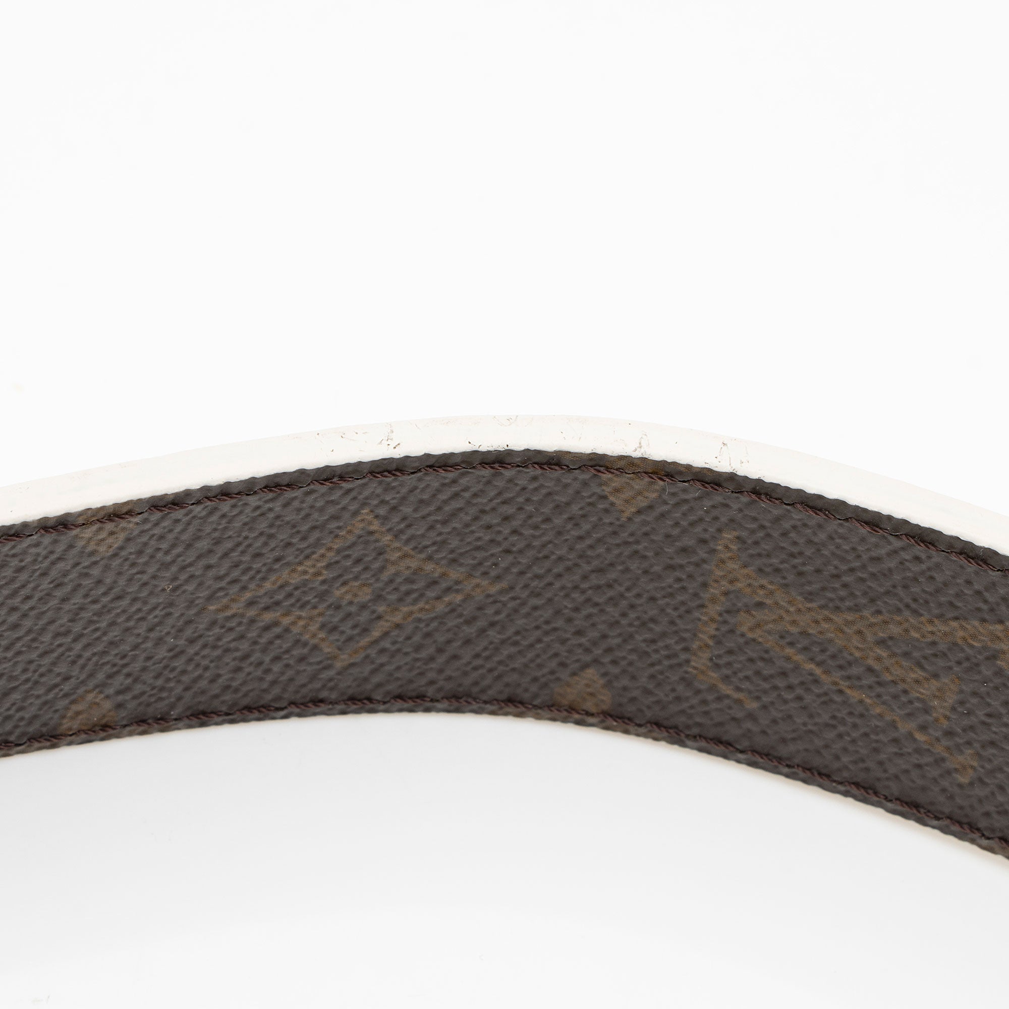 Louis Vuitton Monogram Canvas LV Match Papillon Trunk Shoulder Strap