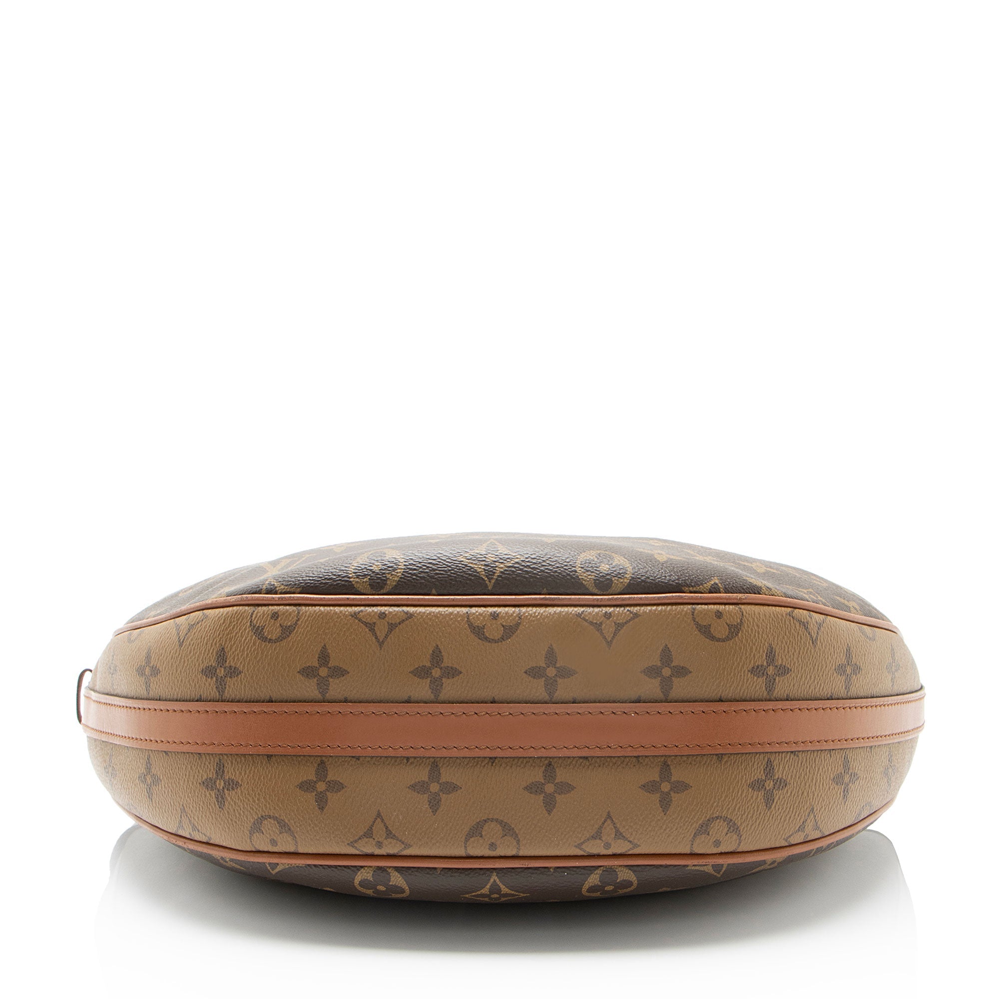 Louis Vuitton Monogram Canvas Loop Hobo