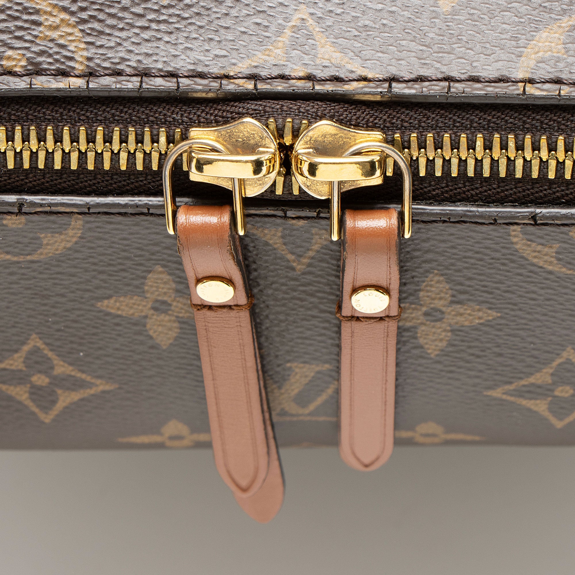 Louis Vuitton Monogram Canvas Loop Hobo