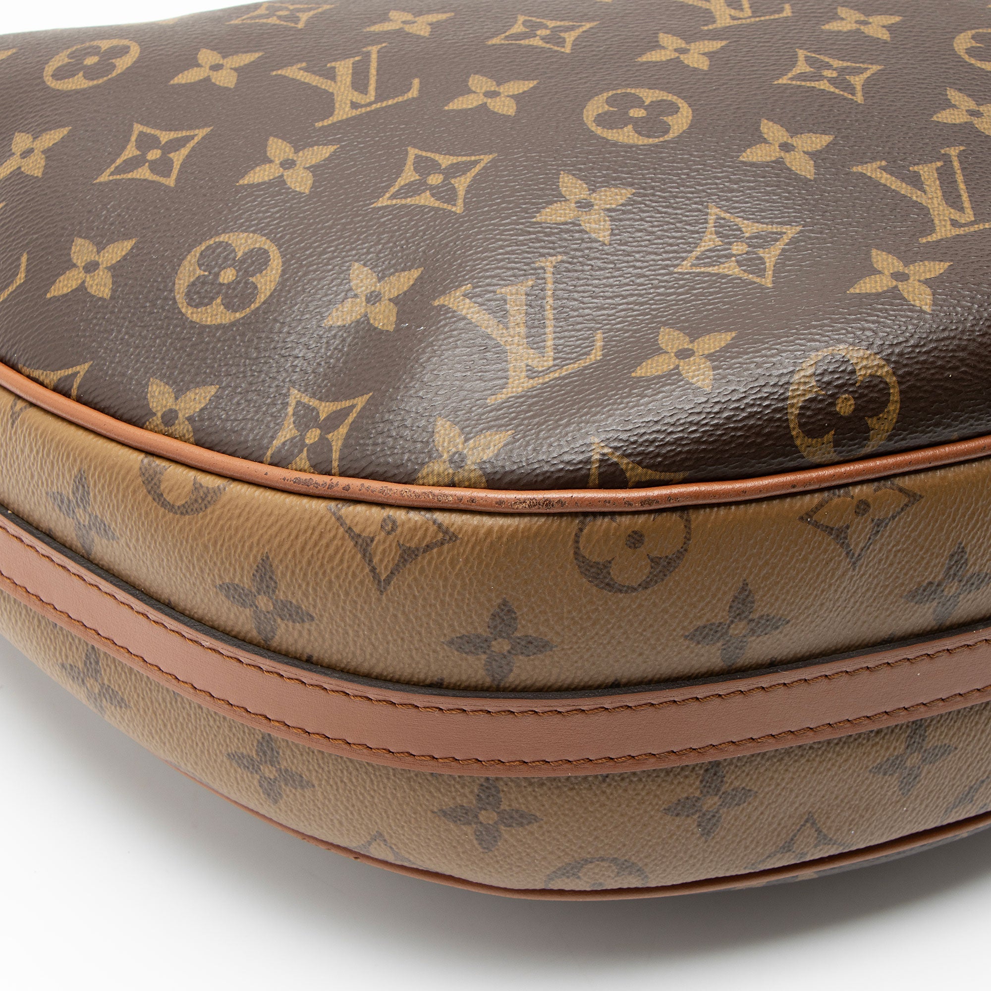 Louis Vuitton Monogram Canvas Loop Hobo