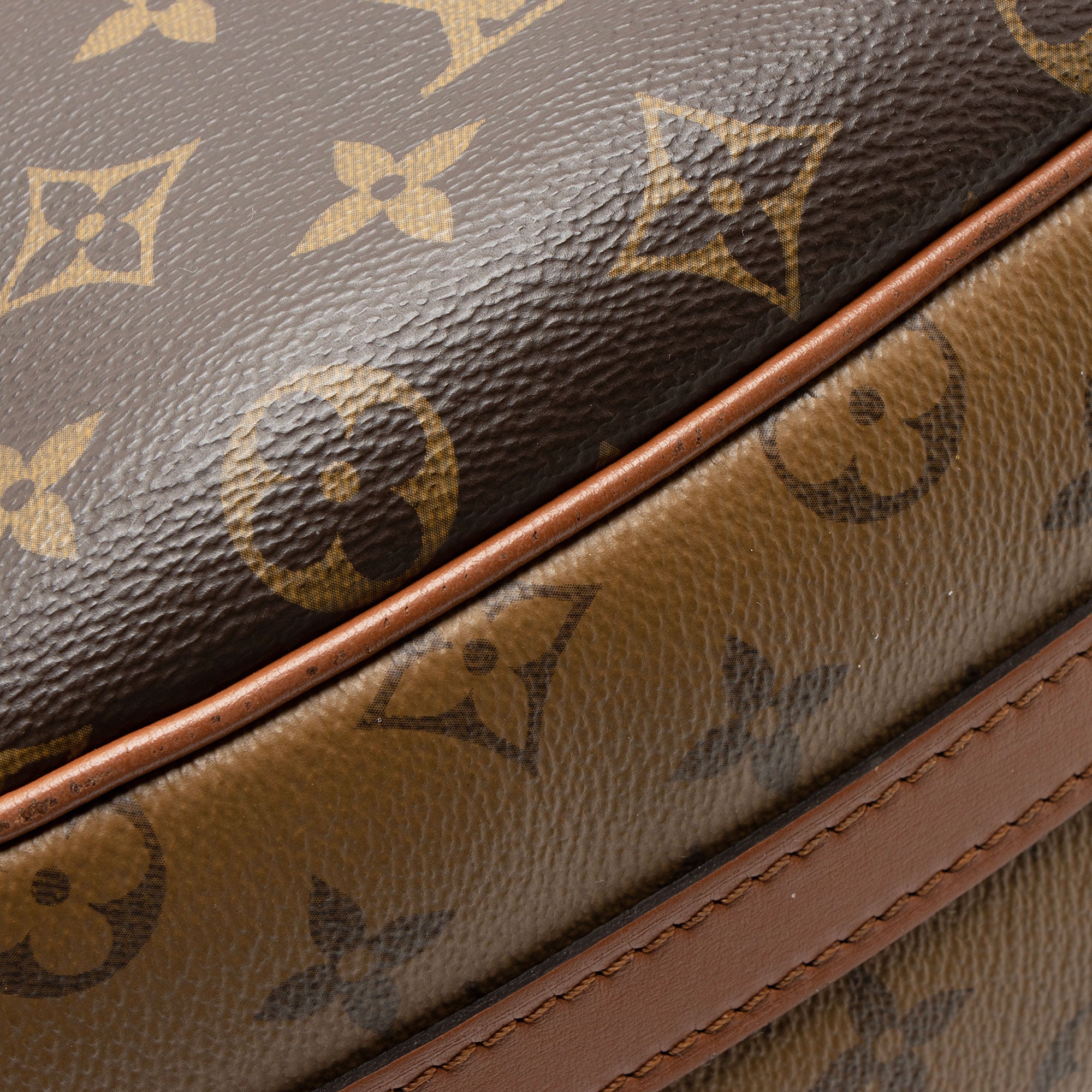 Louis Vuitton Monogram Canvas Loop Hobo