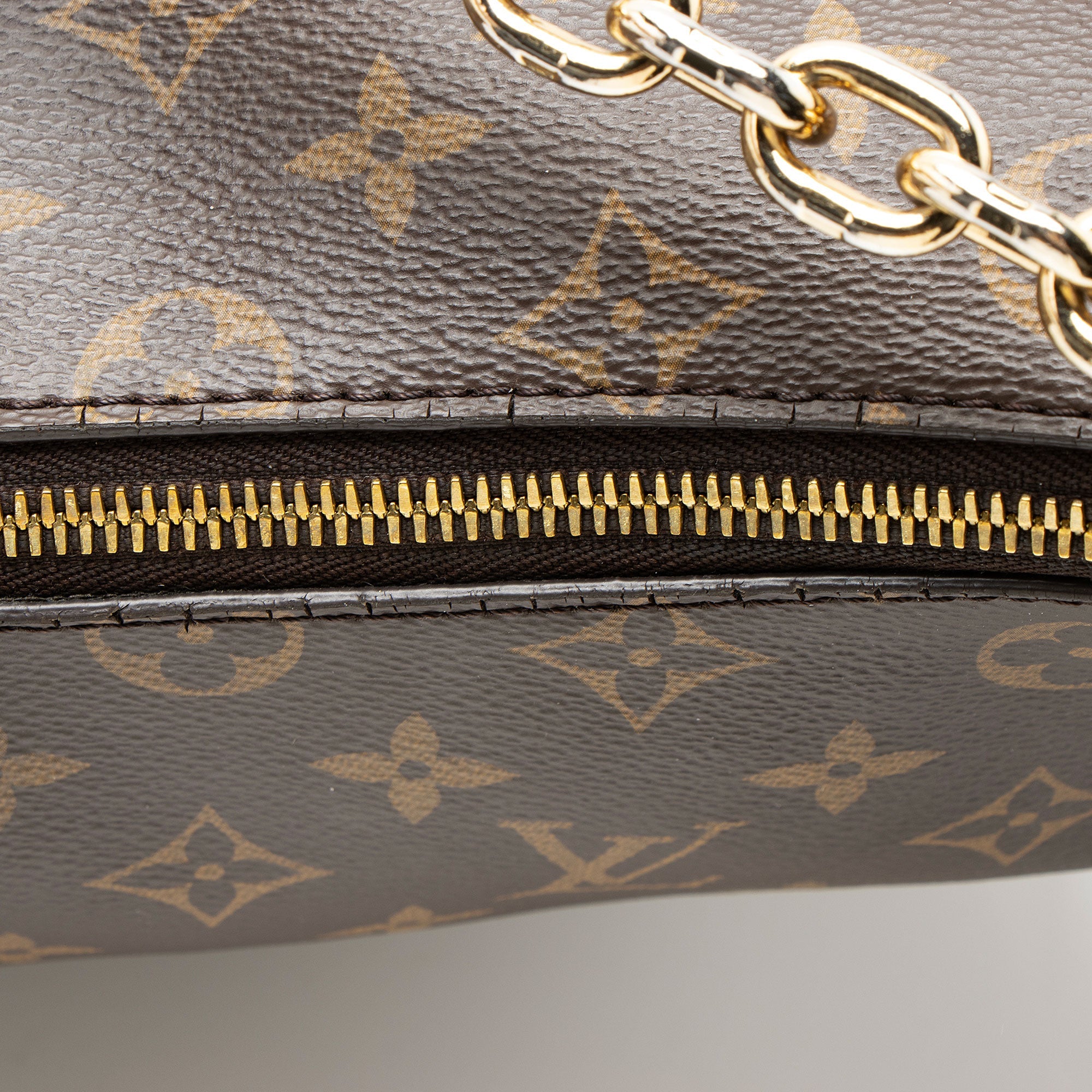 Louis Vuitton Monogram Canvas Loop Hobo