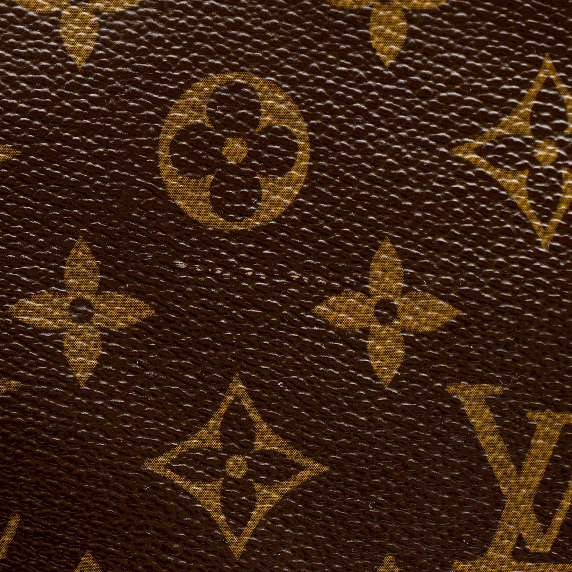 Louis Vuitton Monogram Canvas Multipli-cite Tote