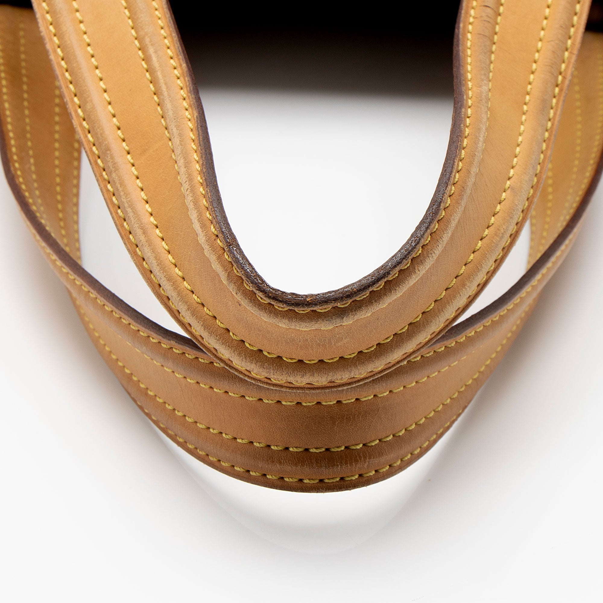 Louis Vuitton Monogram Canvas Multipli-cite Tote