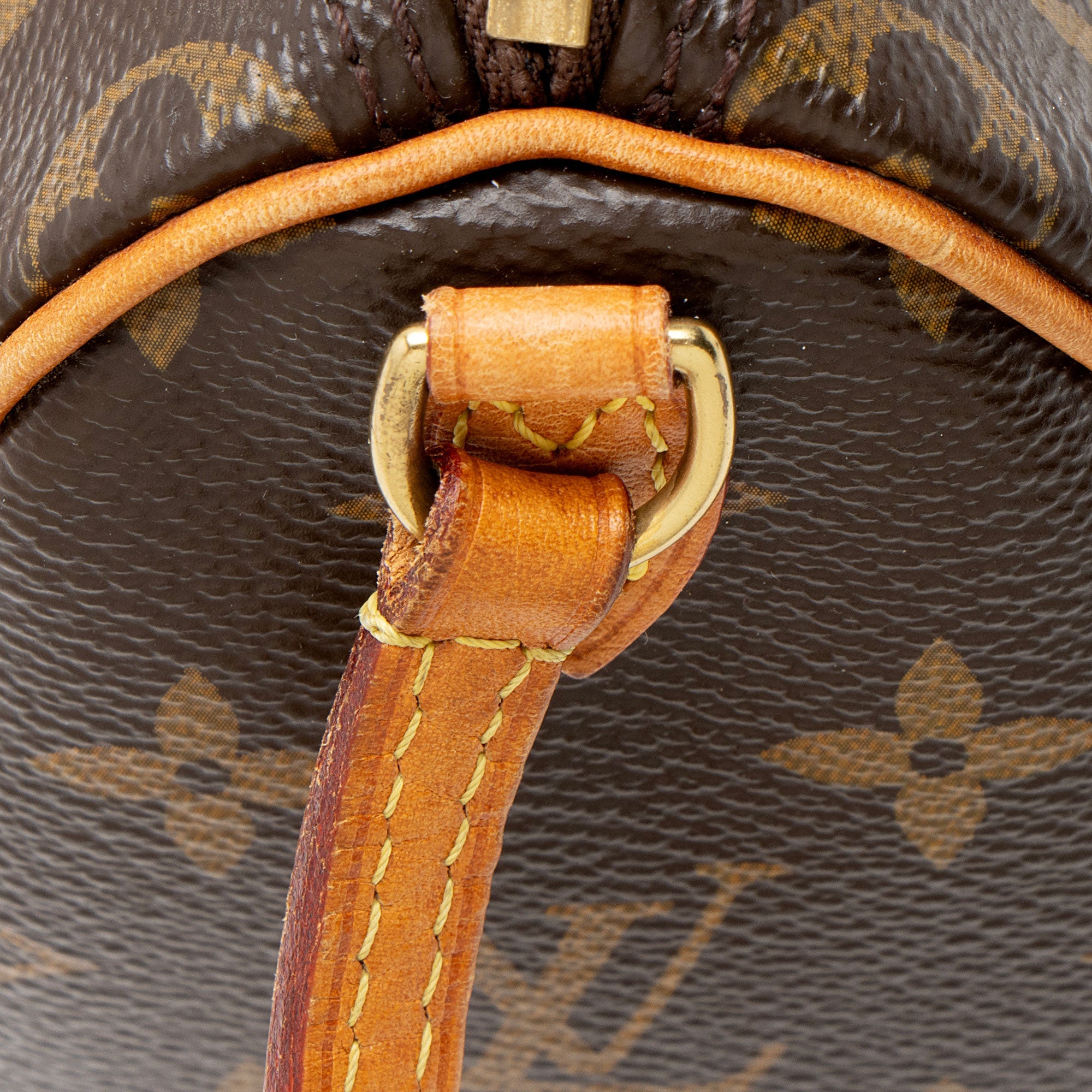 Louis Vuitton Monogram Canvas Nano Speedy Satchel