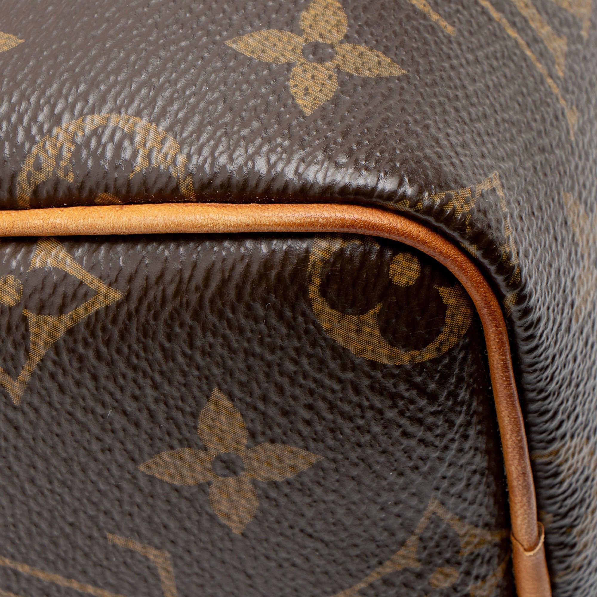 Louis Vuitton Monogram Canvas Nano Speedy Satchel