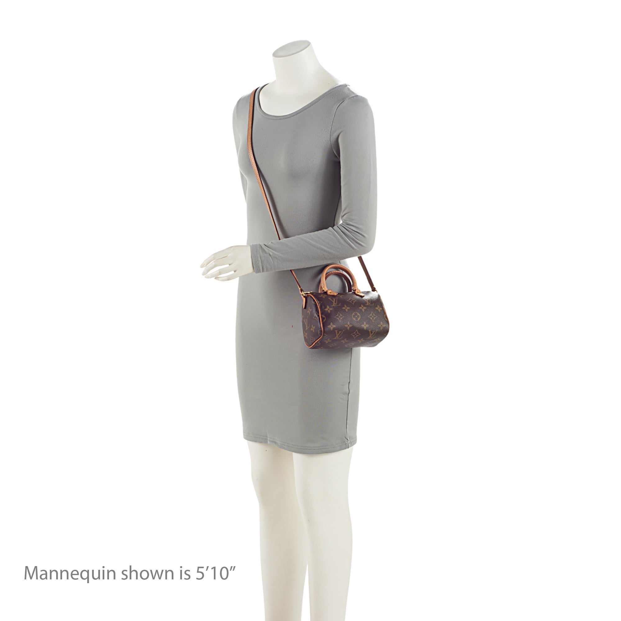 Louis Vuitton Monogram Canvas Nano Speedy Satchel