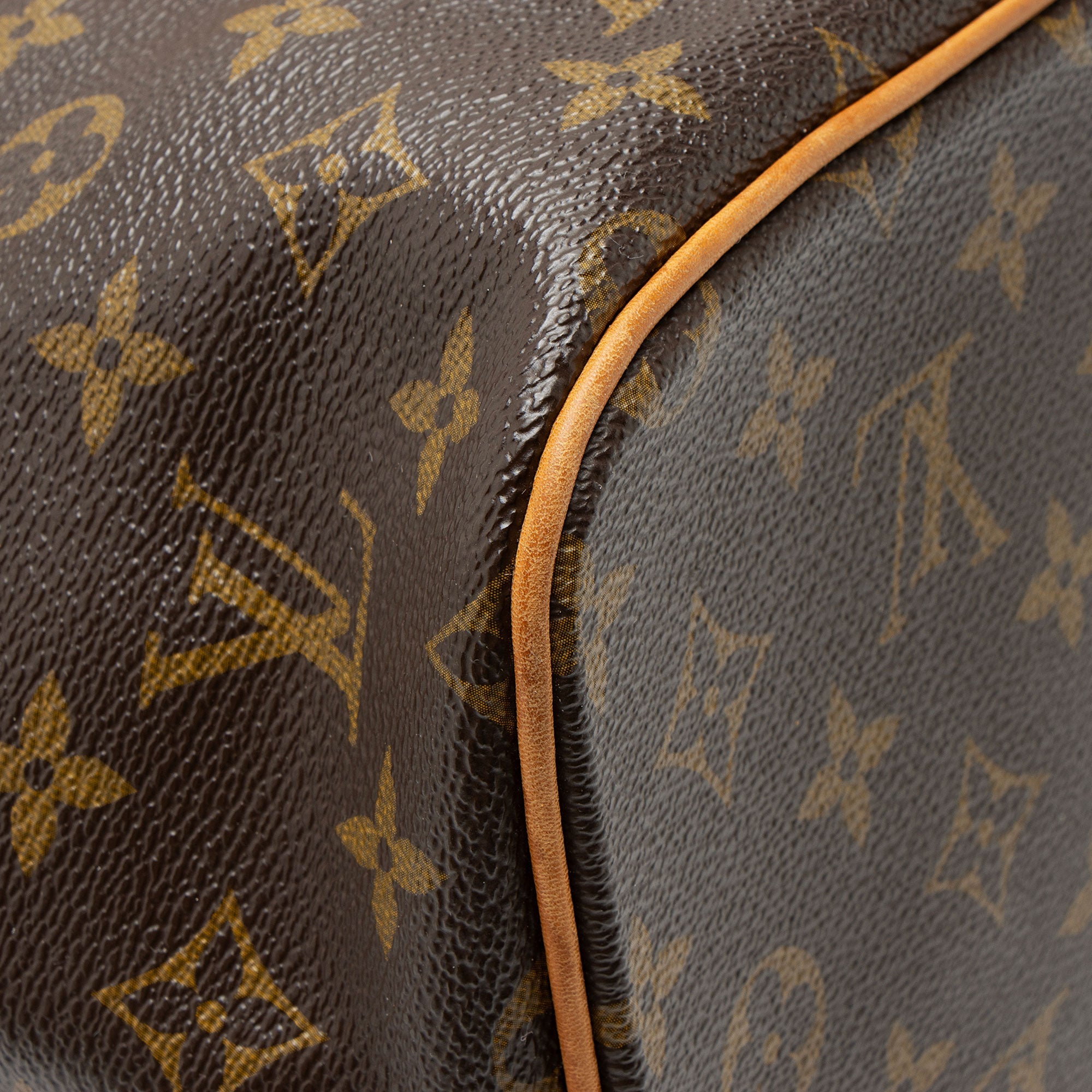 Louis Vuitton Monogram Canvas Palermo PM Tote