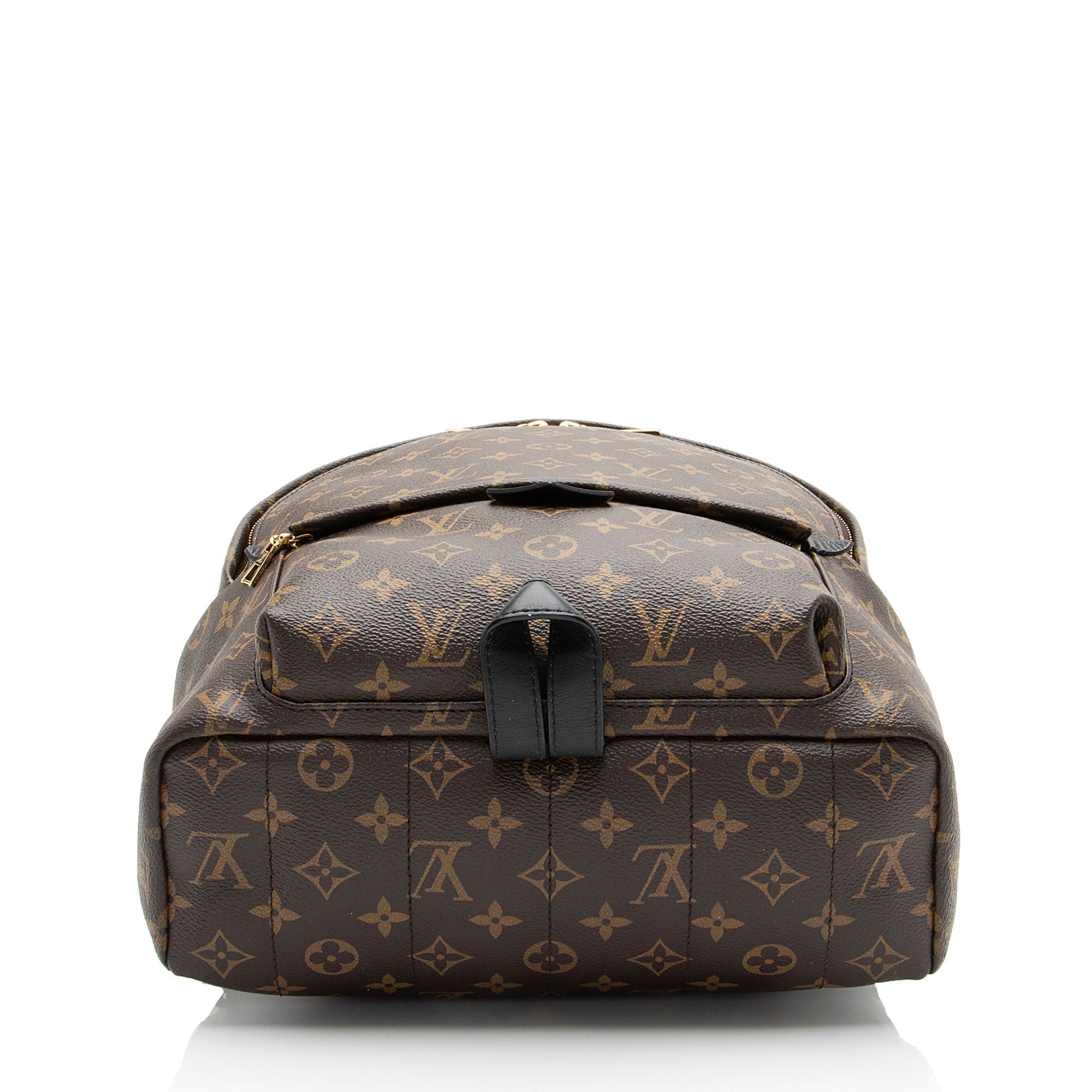 Louis Vuitton Monogram Canvas Palm Springs MM Backpack