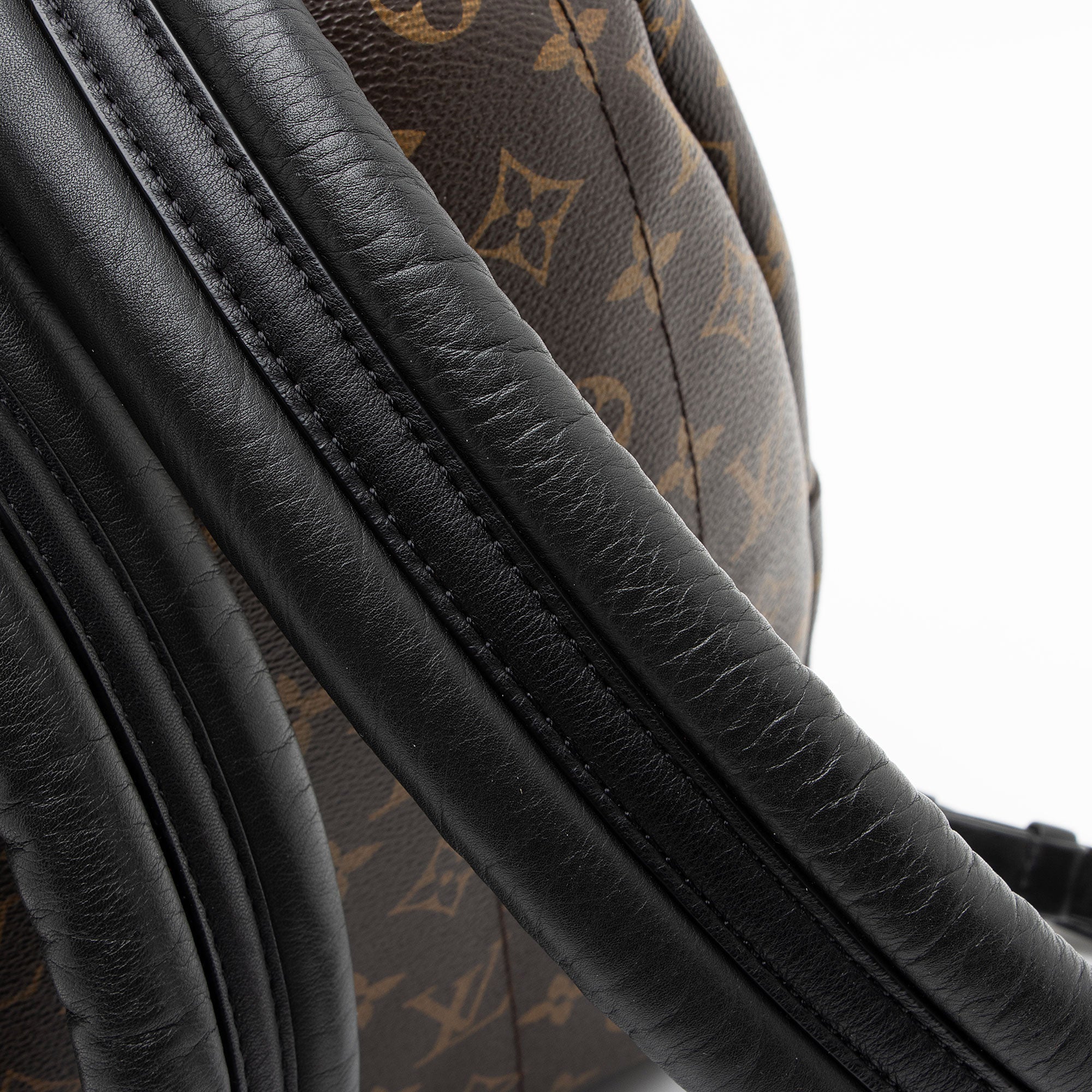 Louis Vuitton Monogram Canvas Palm Springs MM Backpack
