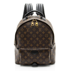Louis Vuitton Monogram Canvas Palm Springs MM Backpack