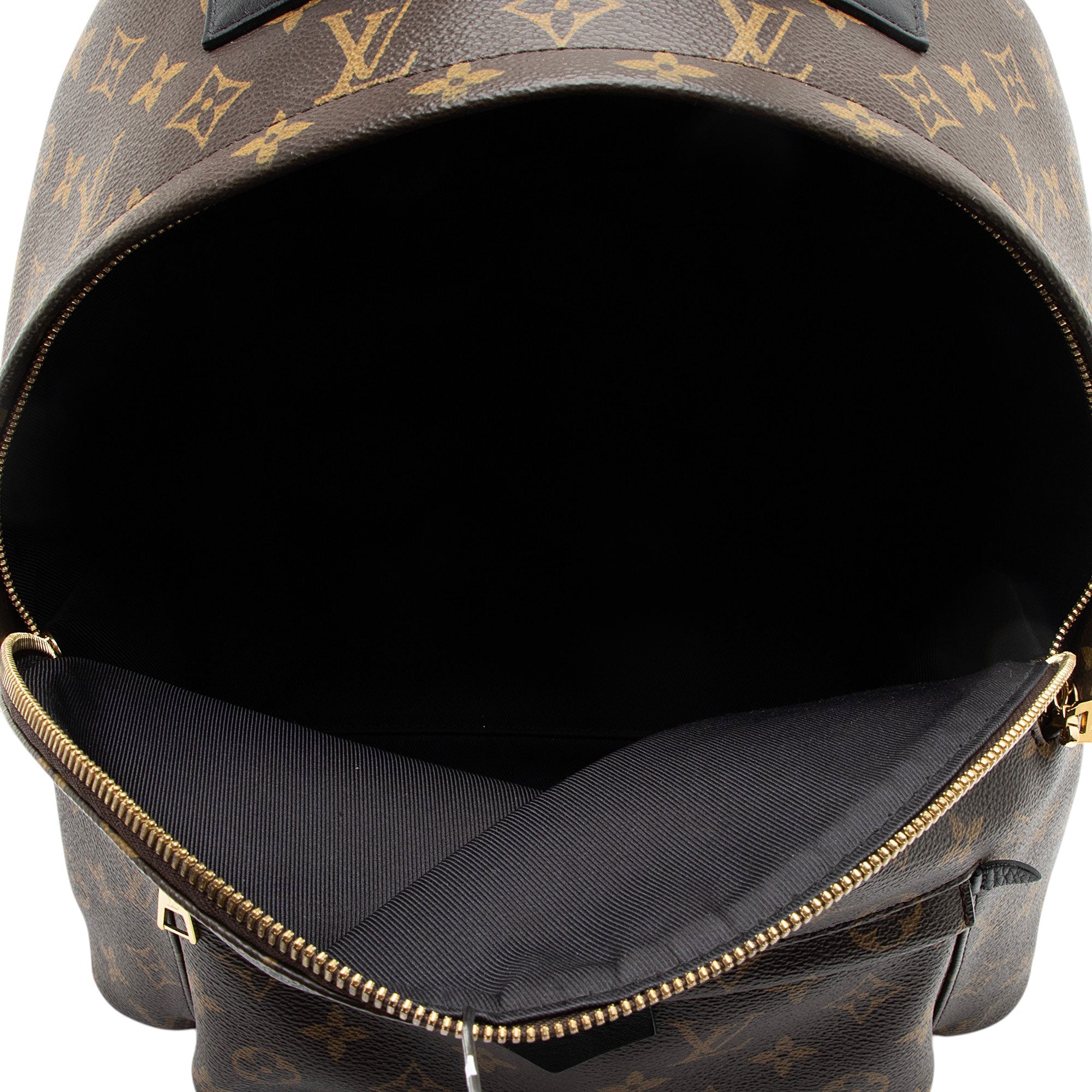 Louis Vuitton Monogram Canvas Palm Springs MM Backpack