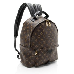 Louis Vuitton Monogram Canvas Palm Springs MM Backpack
