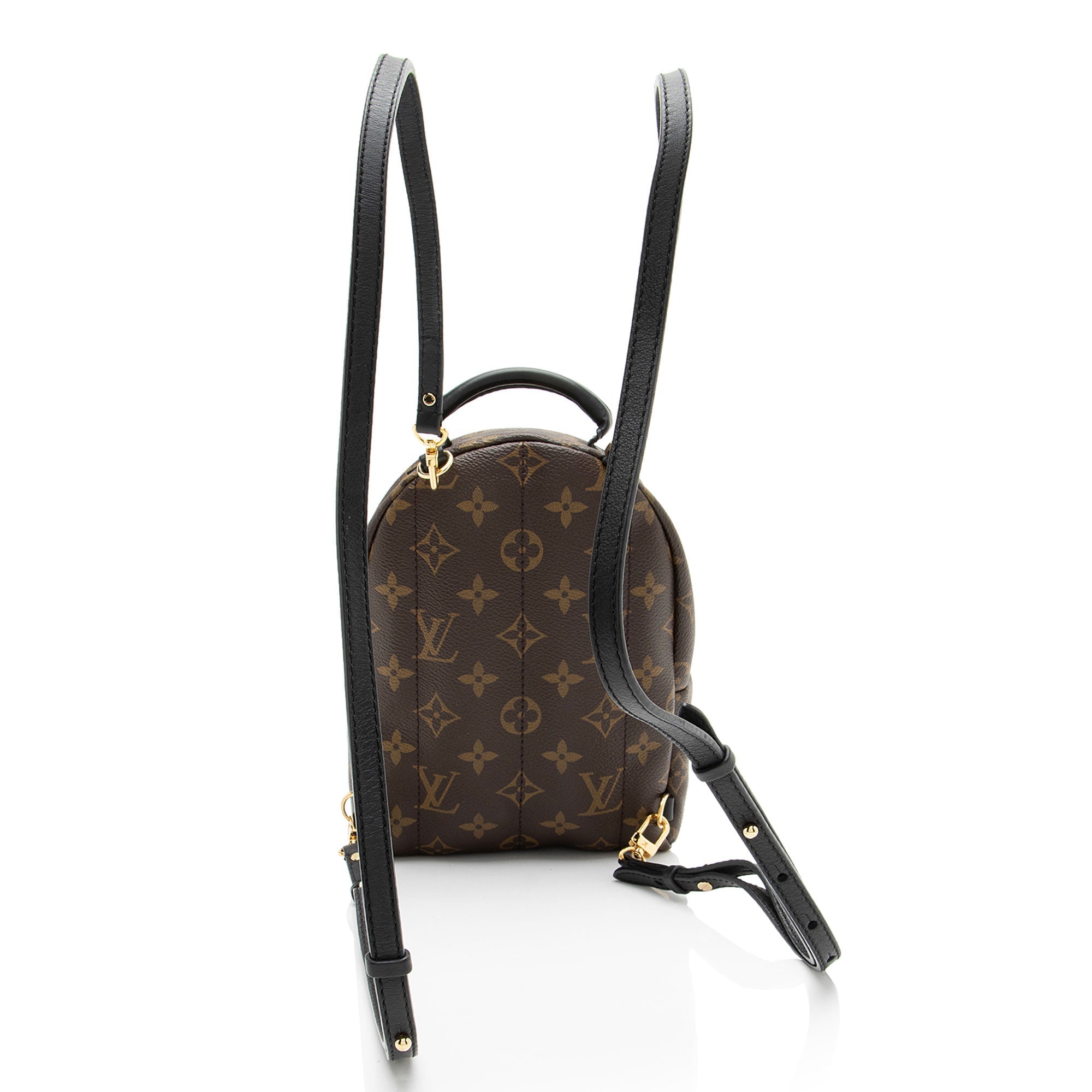 Louis Vuitton Monogram Canvas Palm Springs Mini Backpack