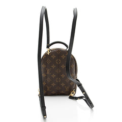 Louis Vuitton Monogram Canvas Palm Springs Mini Backpack