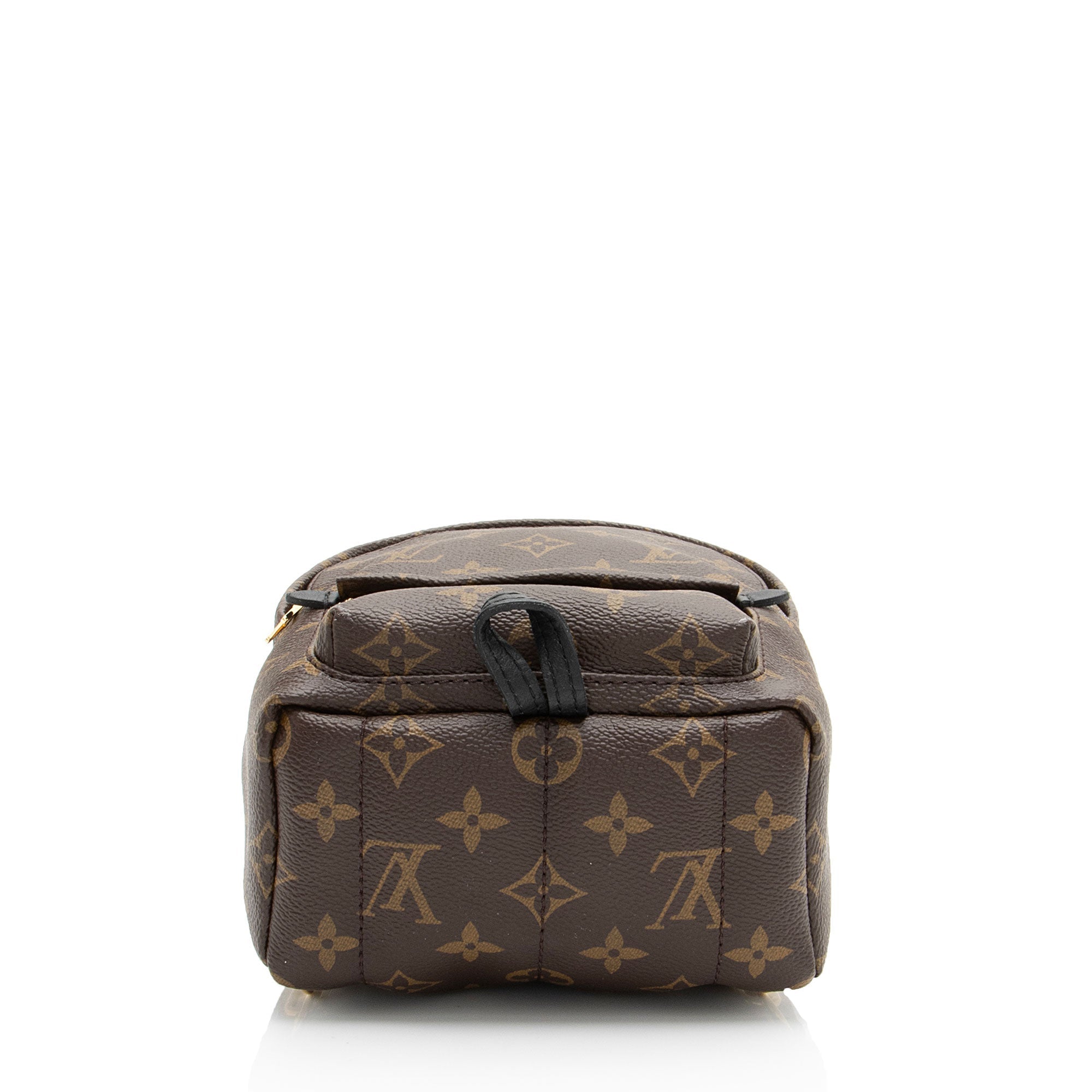 Louis Vuitton Monogram Canvas Palm Springs Mini Backpack