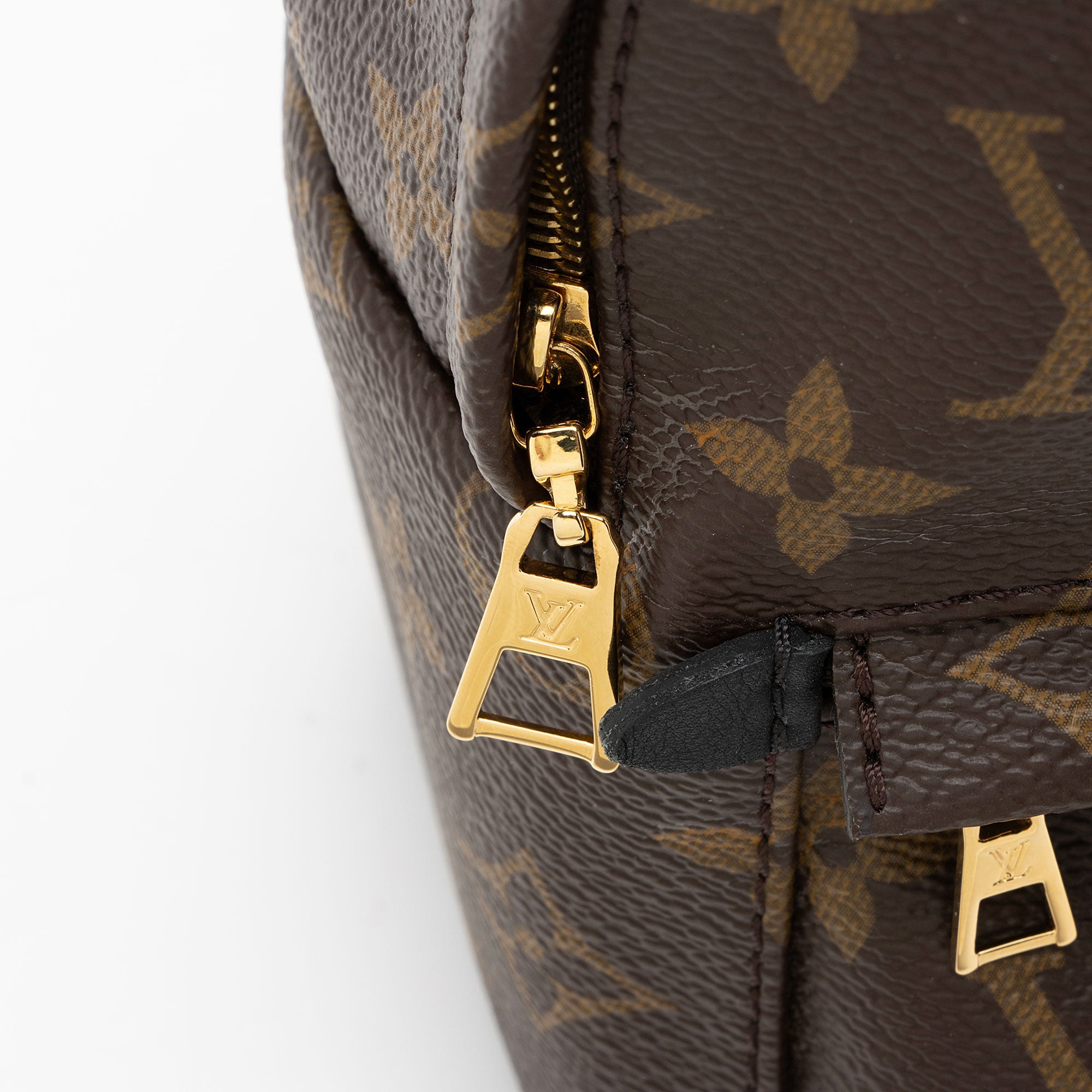Louis Vuitton Monogram Canvas Palm Springs Mini Backpack