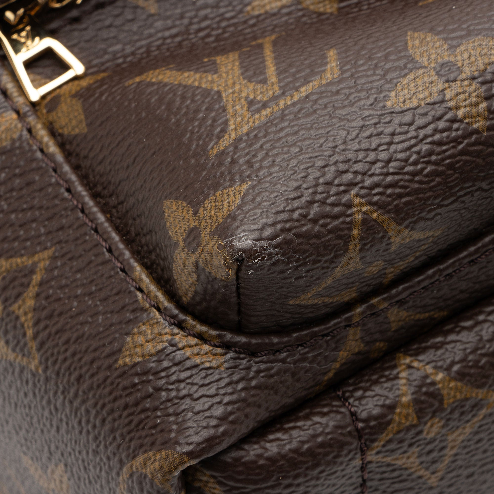 Louis Vuitton Monogram Canvas Palm Springs Mini Backpack